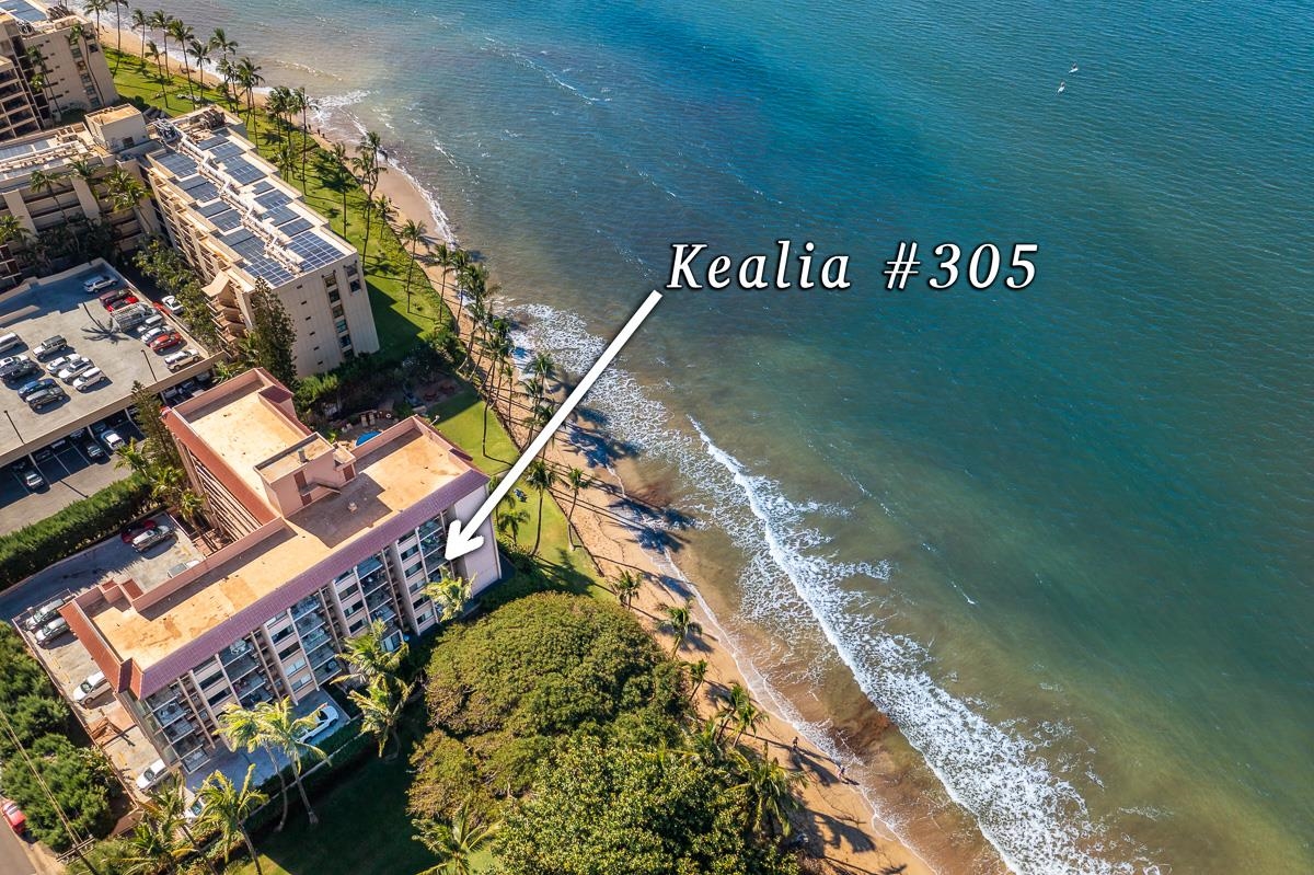 Kealia condo # 305, Kihei, Hawaii - photo 50 of 50