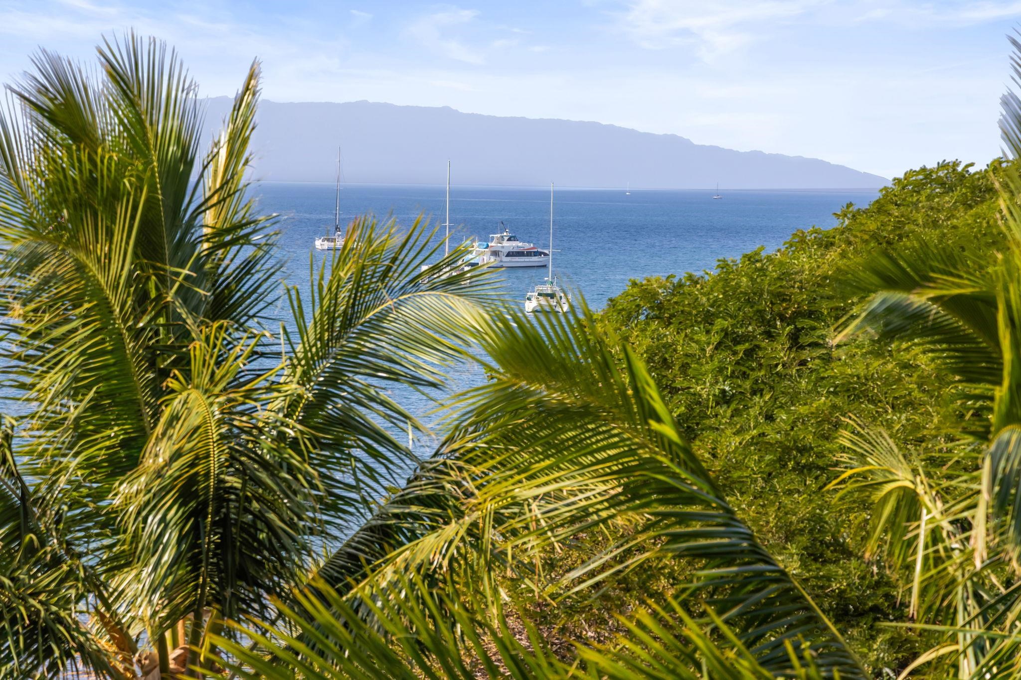 Kealia condo # 608, Kihei, Hawaii - photo 22 of 50