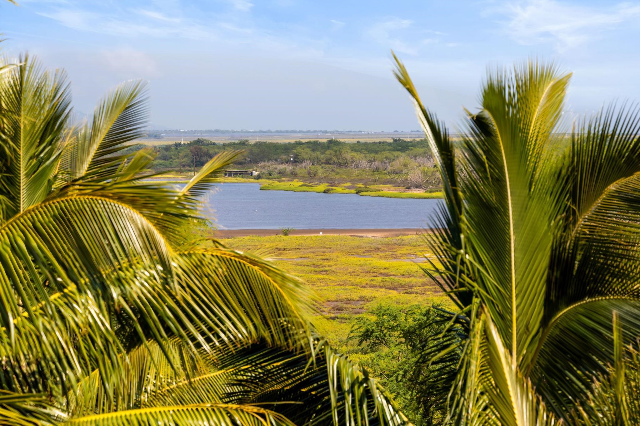 Kealia condo # 608, Kihei, Hawaii - photo 23 of 50