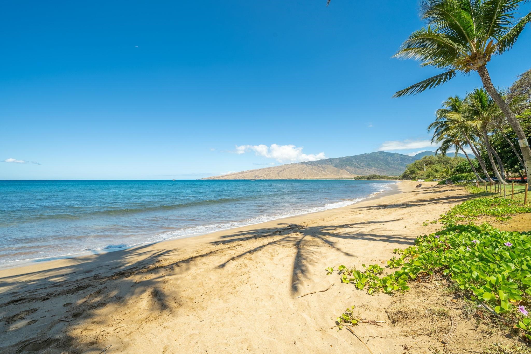 Kealia condo # 608, Kihei, Hawaii - photo 39 of 50