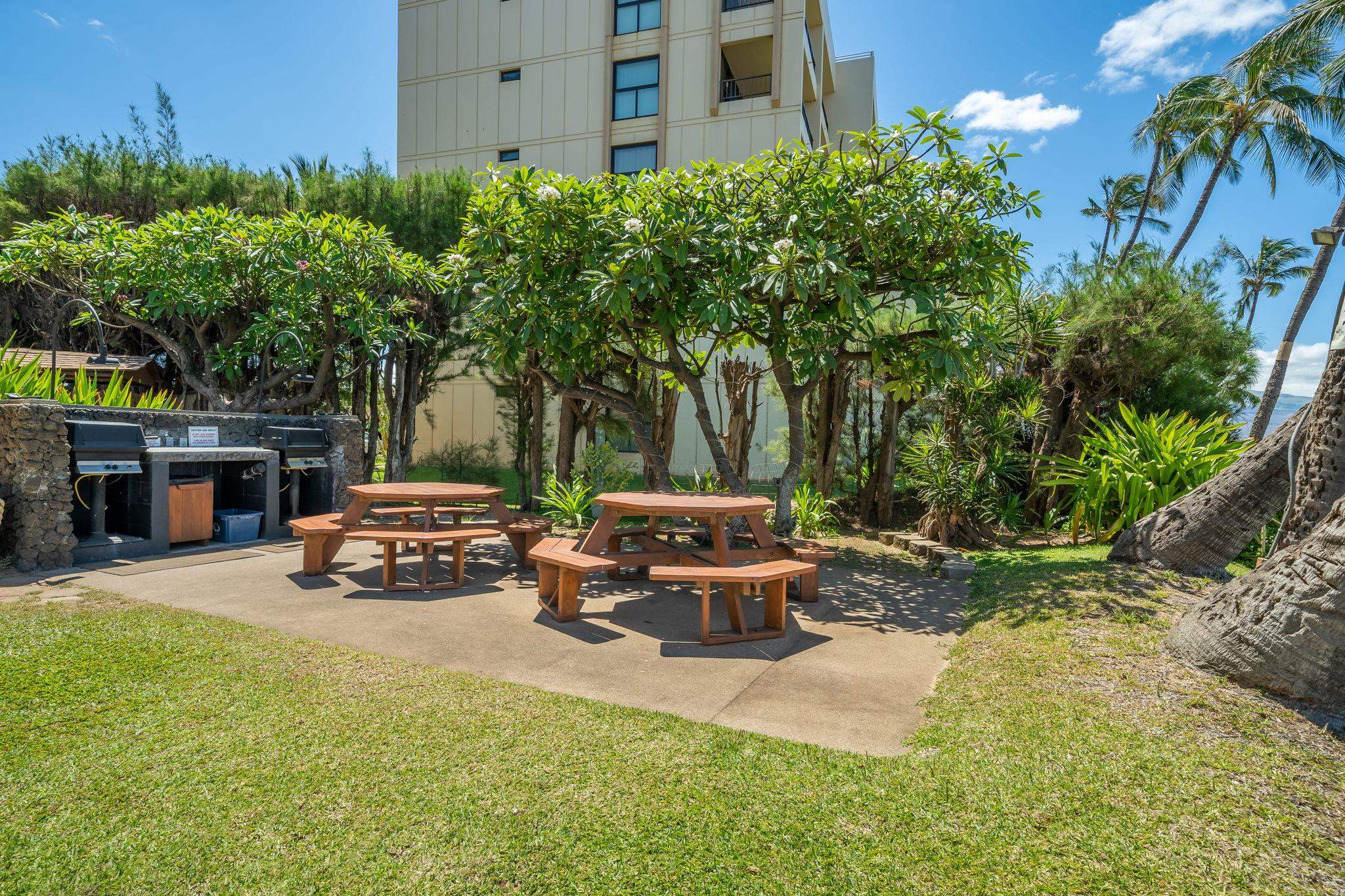 Kealia condo # 608, Kihei, Hawaii - photo 40 of 50