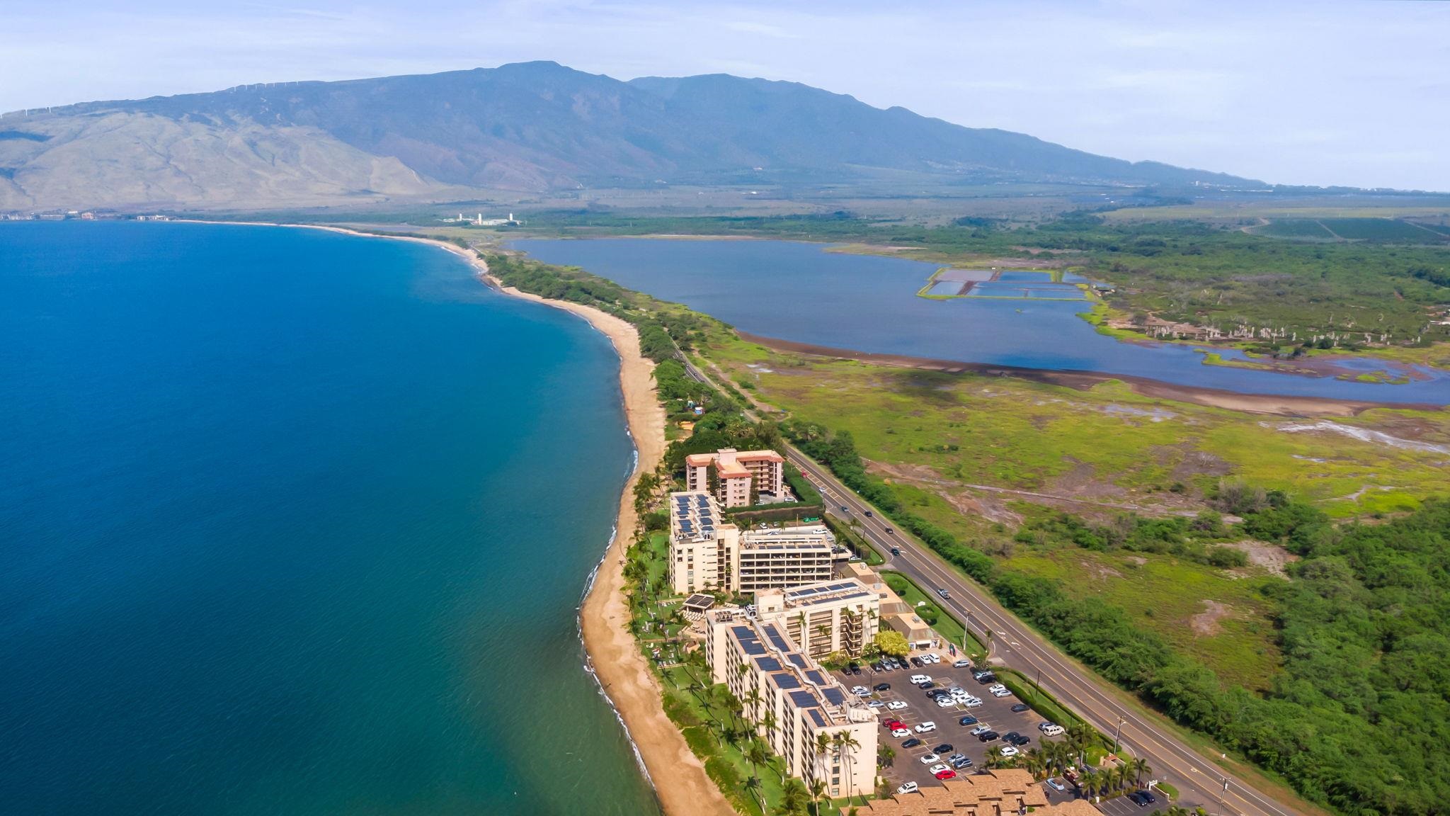 Kealia condo # 608, Kihei, Hawaii - photo 49 of 50