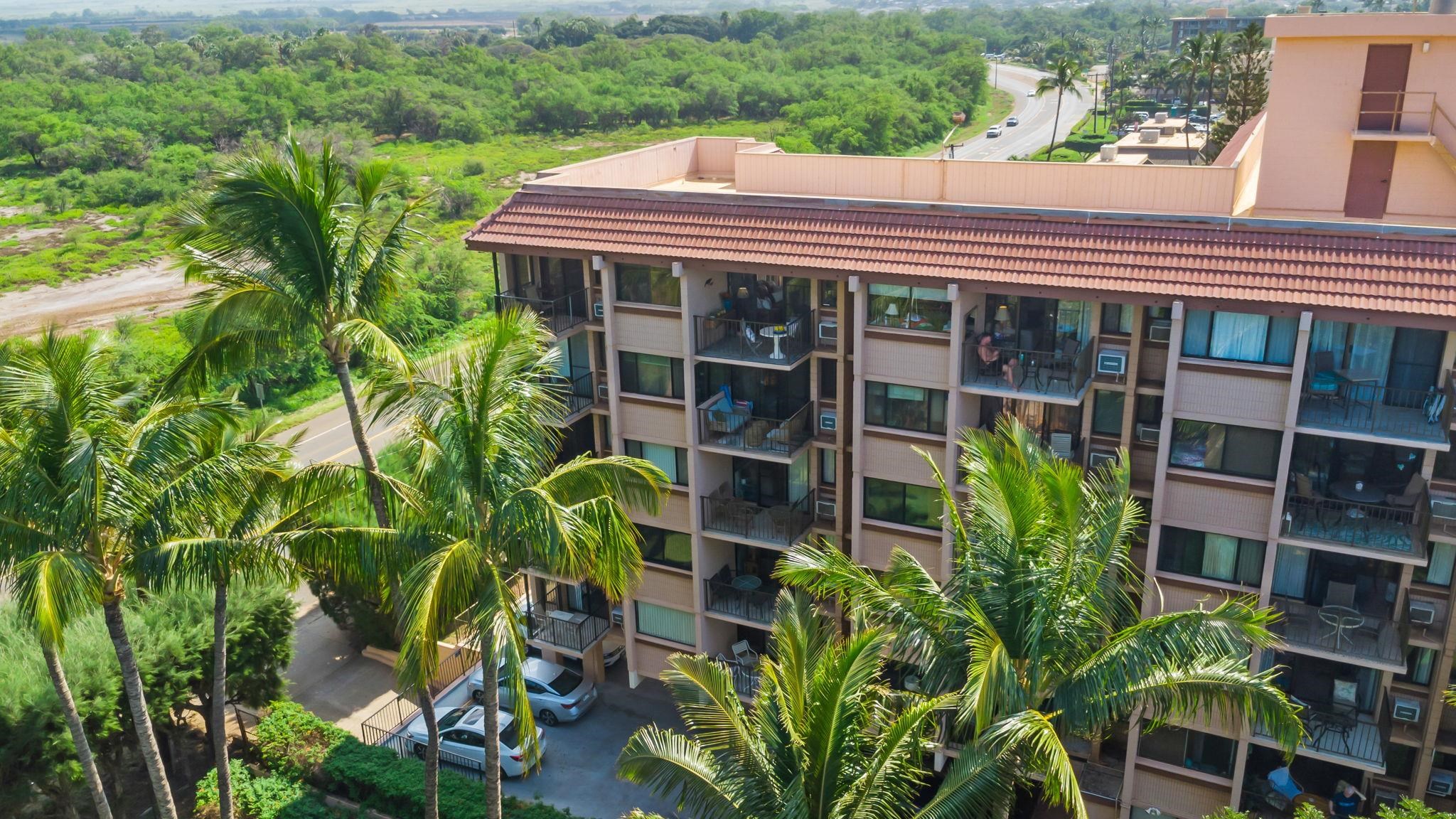 Kealia condo # 608, Kihei, Hawaii - photo 44 of 50