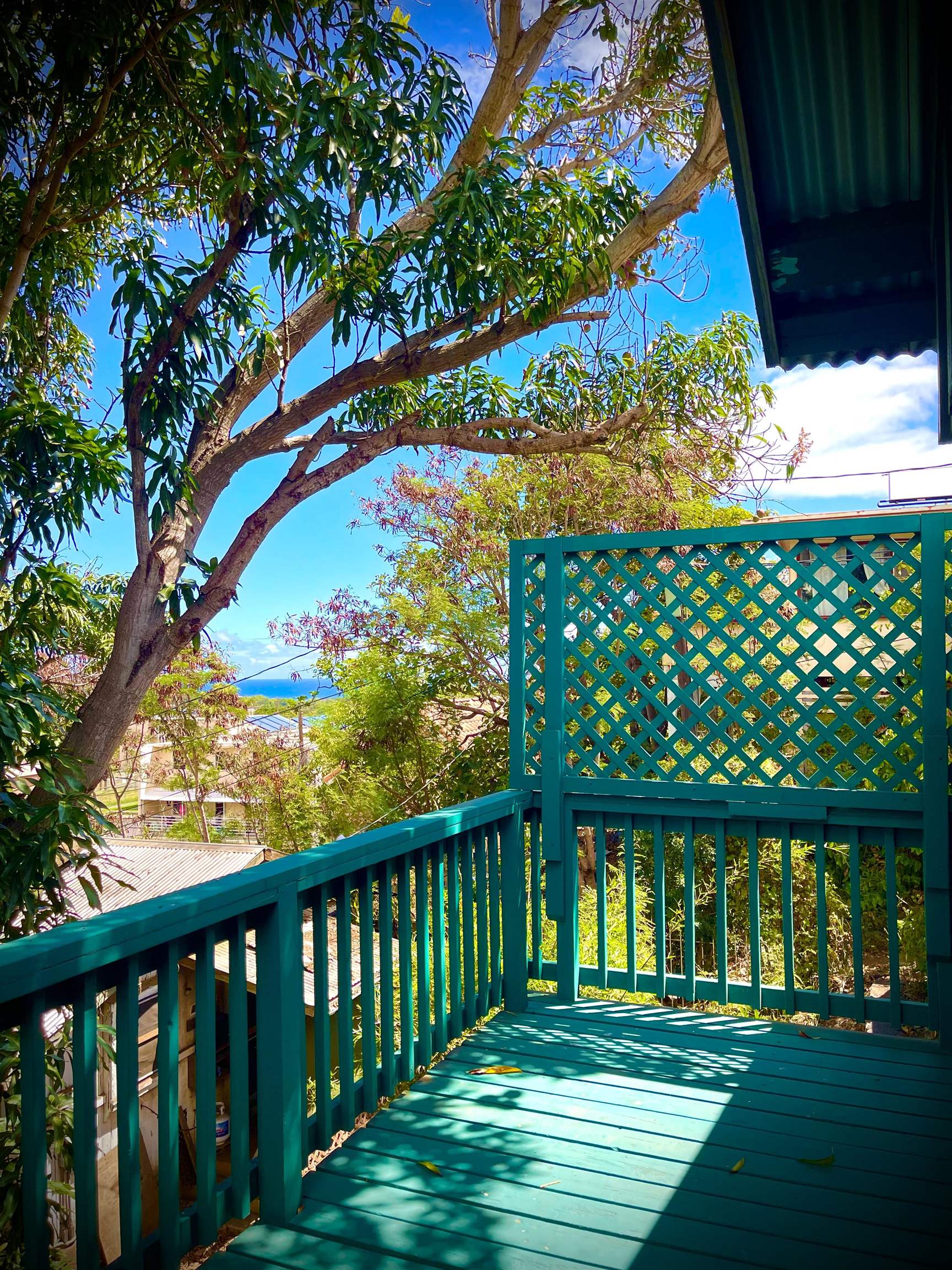 193  Church St , Wailuku home - photo 32 of 50