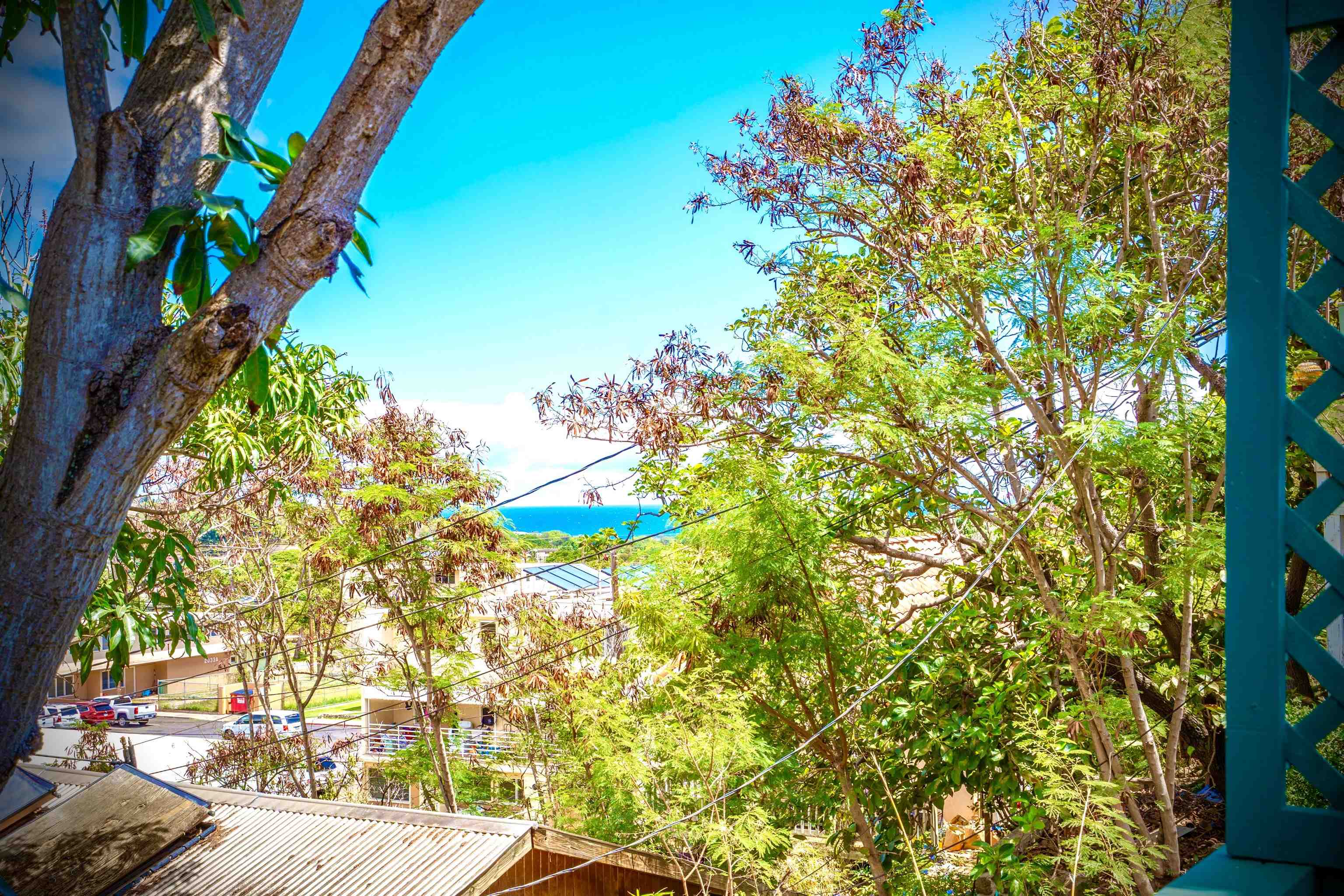 193  Church St , Wailuku home - photo 33 of 50