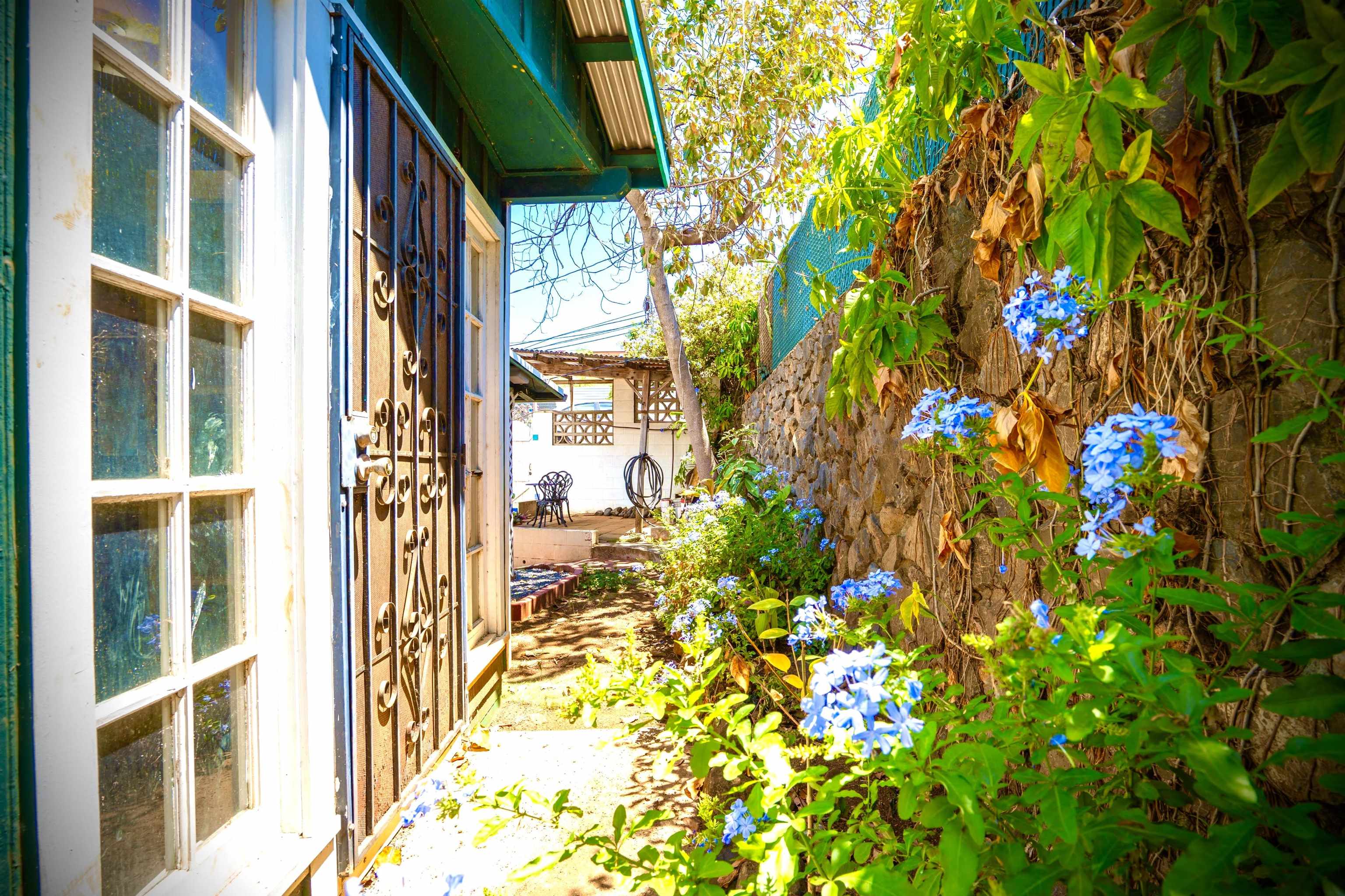 193  Church St , Wailuku home - photo 45 of 50
