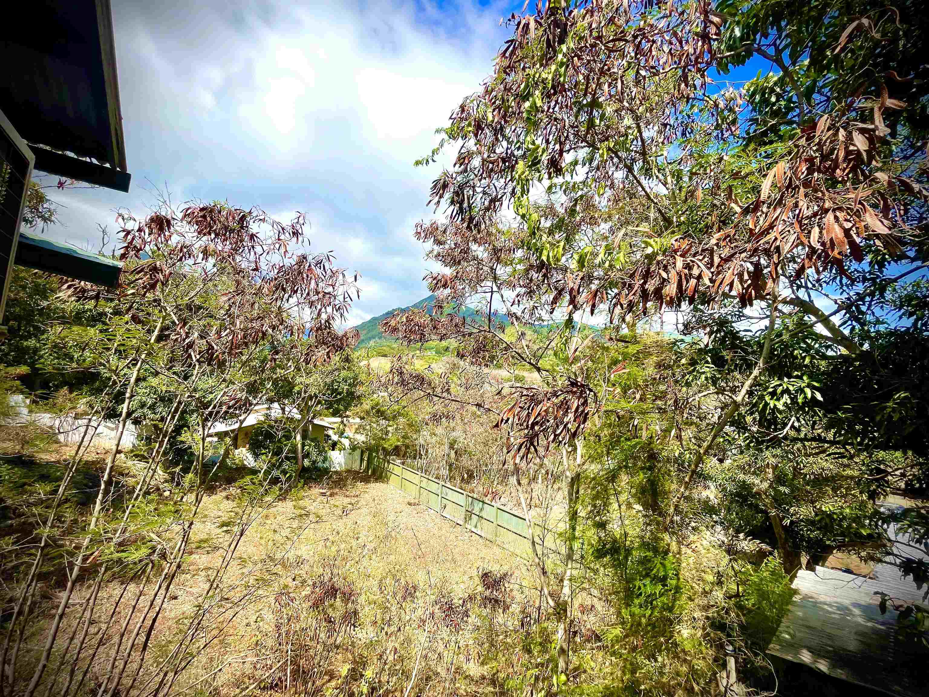 193  Church St , Wailuku home - photo 48 of 50