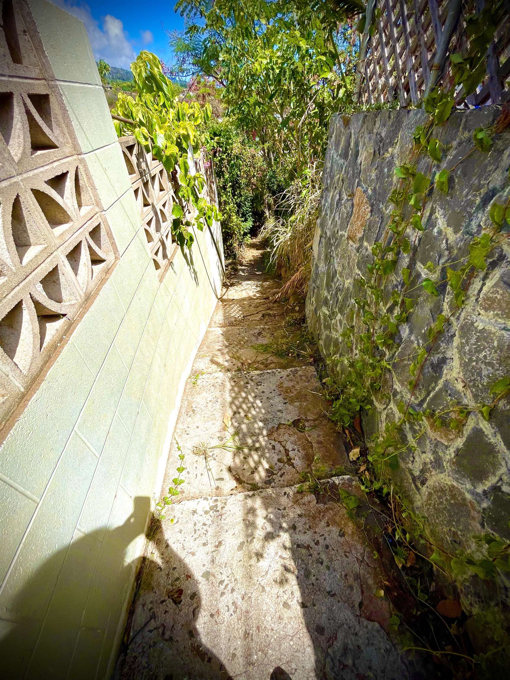 193  Church St , Wailuku home - photo 49 of 50