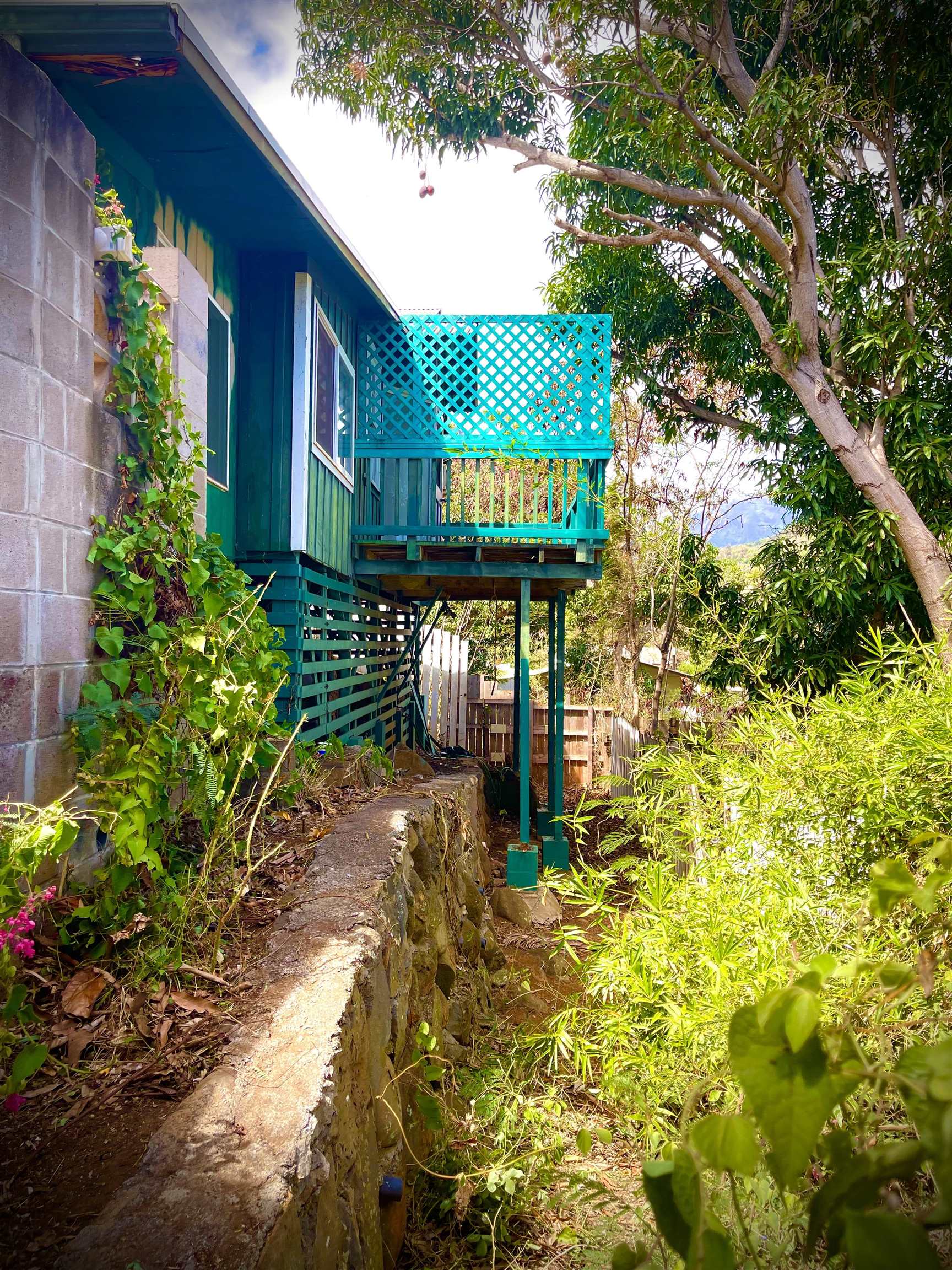 193  Church St , Wailuku home - photo 50 of 50
