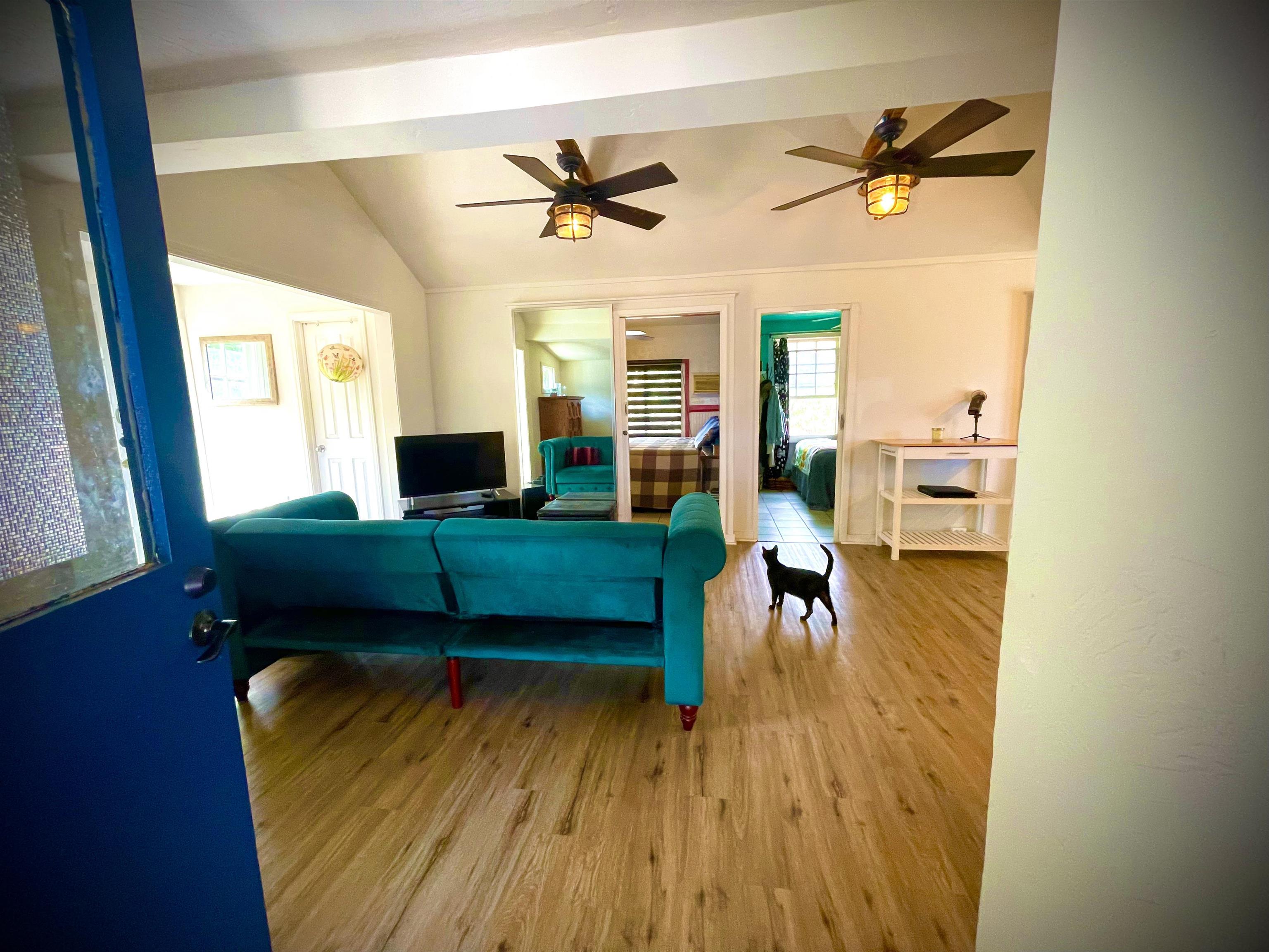 193  Church St , Wailuku home - photo 9 of 50