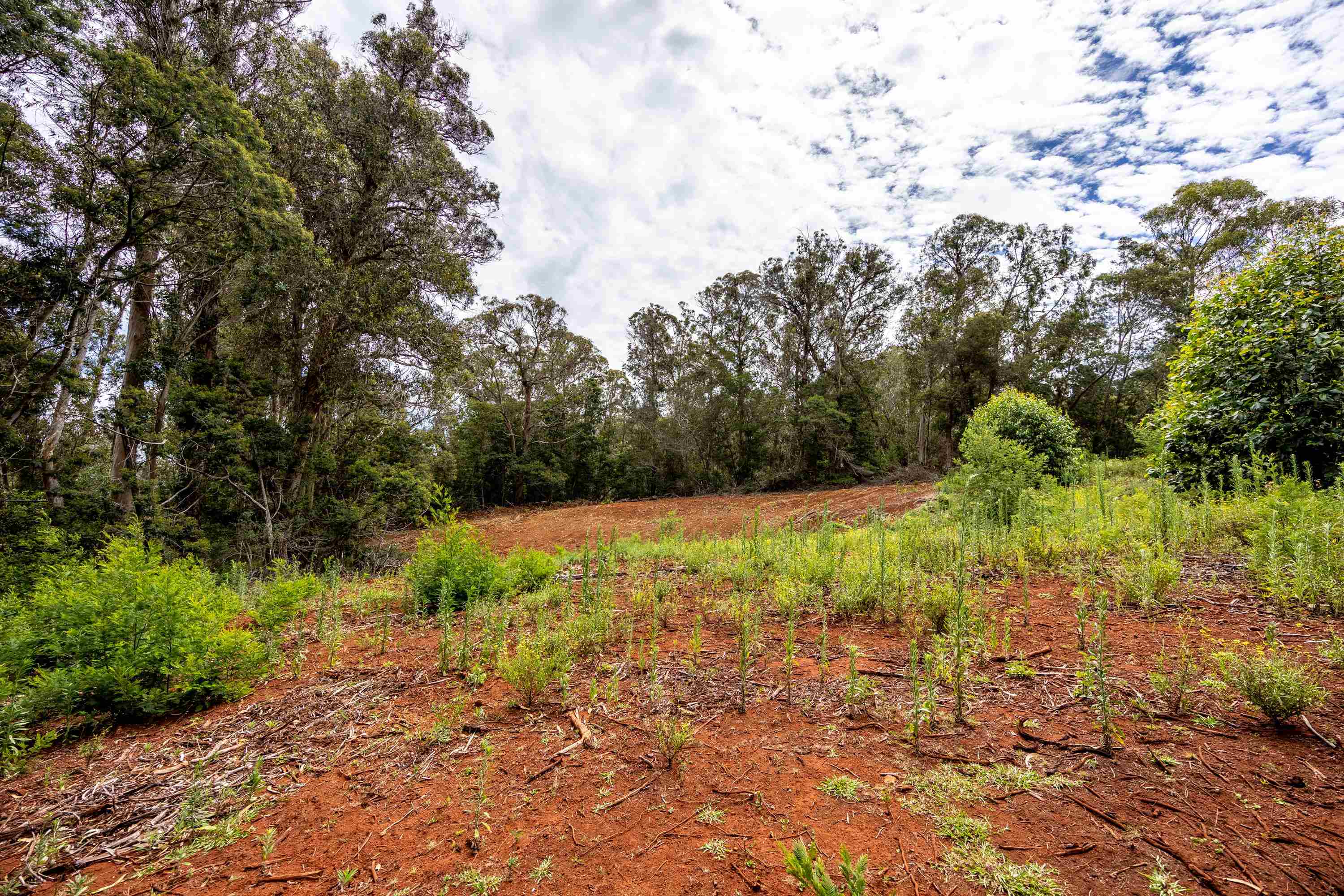 1939 B Piiholo Rd B Makawao, Hi vacant land for sale - photo 11 of 37