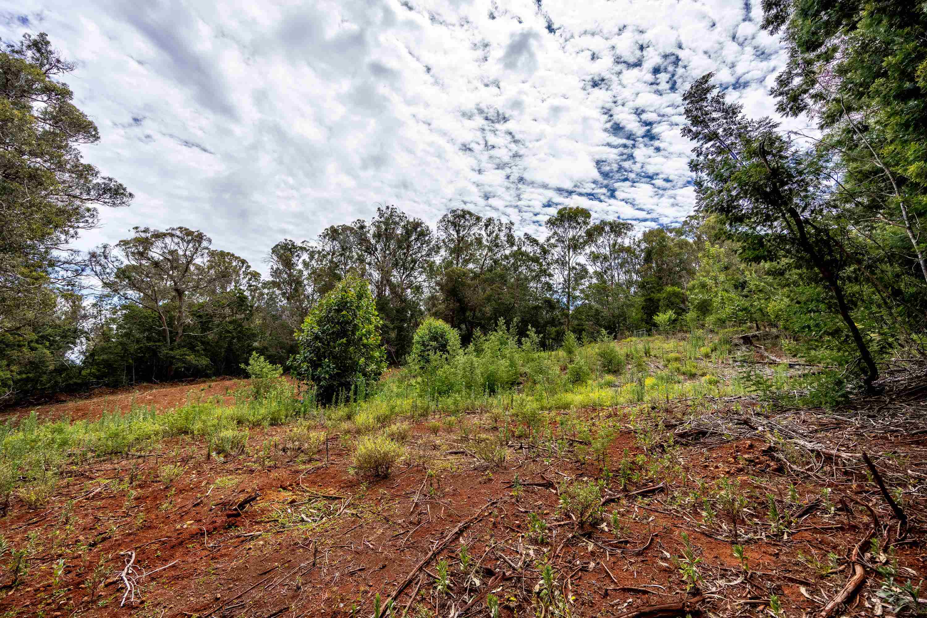 1939 B Piiholo Rd B Makawao, Hi vacant land for sale - photo 12 of 37