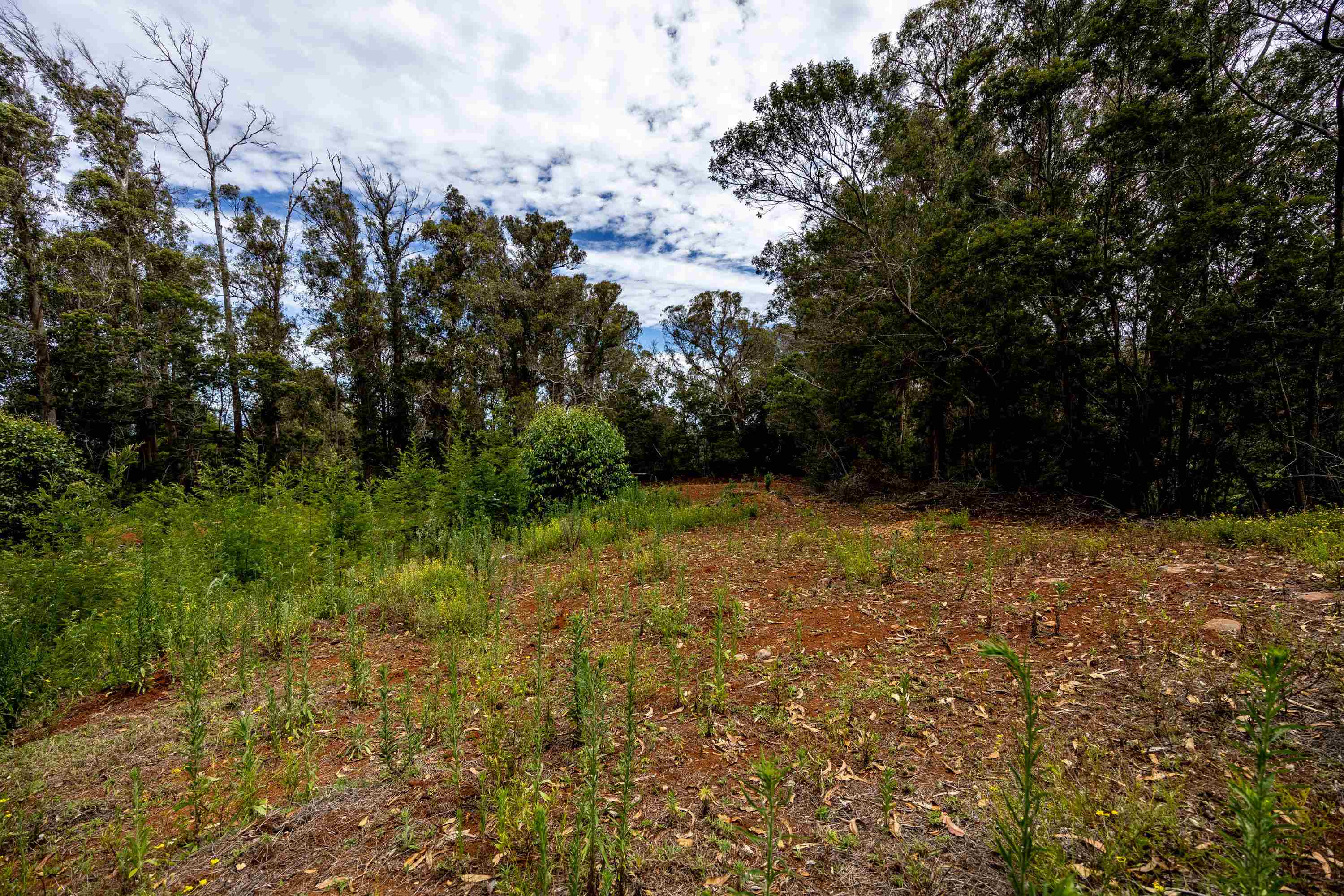 1939 B Piiholo Rd B Makawao, Hi vacant land for sale - photo 15 of 37