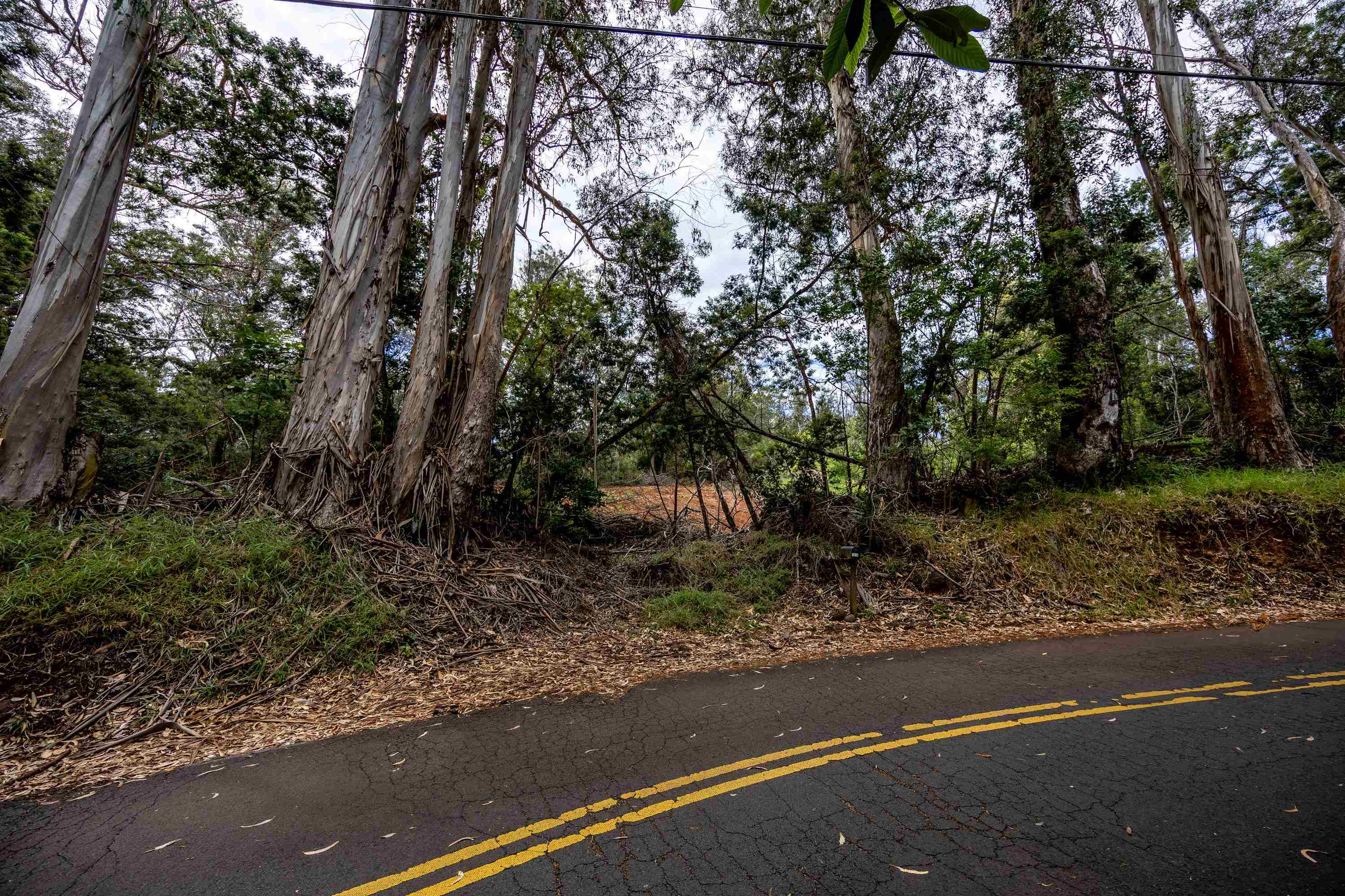 1939 B Piiholo Rd B Makawao, Hi vacant land for sale - photo 16 of 37