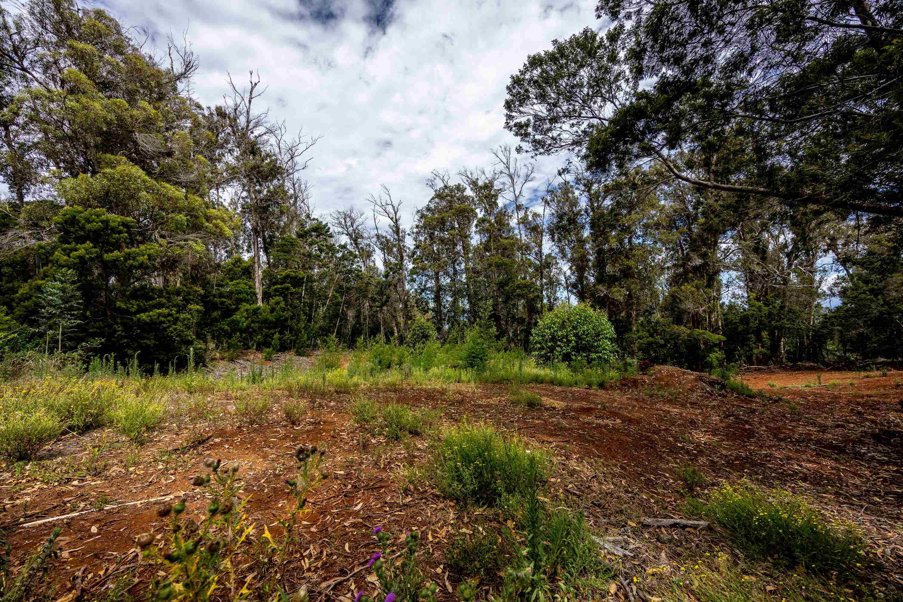 1939 B Piiholo Rd B Makawao, Hi vacant land for sale - photo 3 of 37