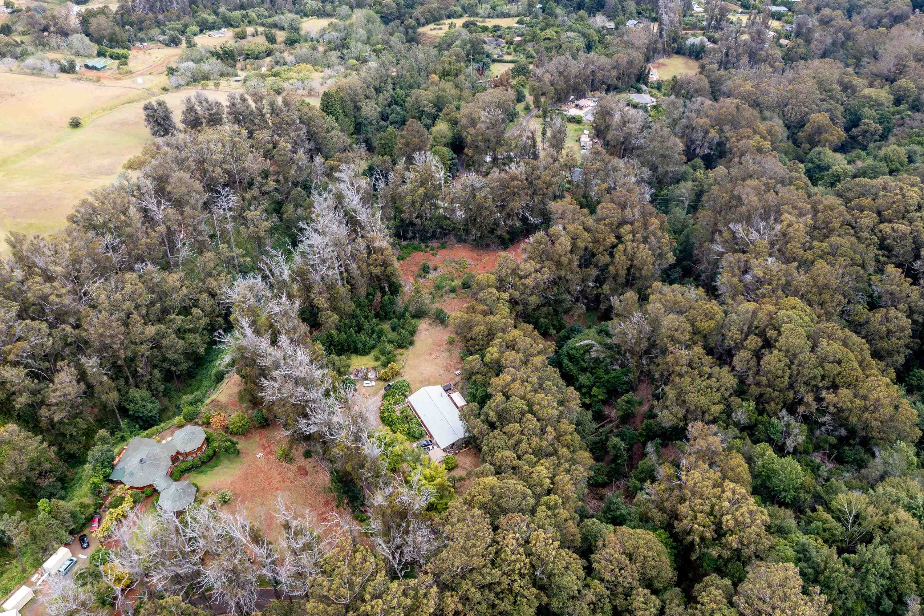 1939 B Piiholo Rd B Makawao, Hi vacant land for sale - photo 26 of 37