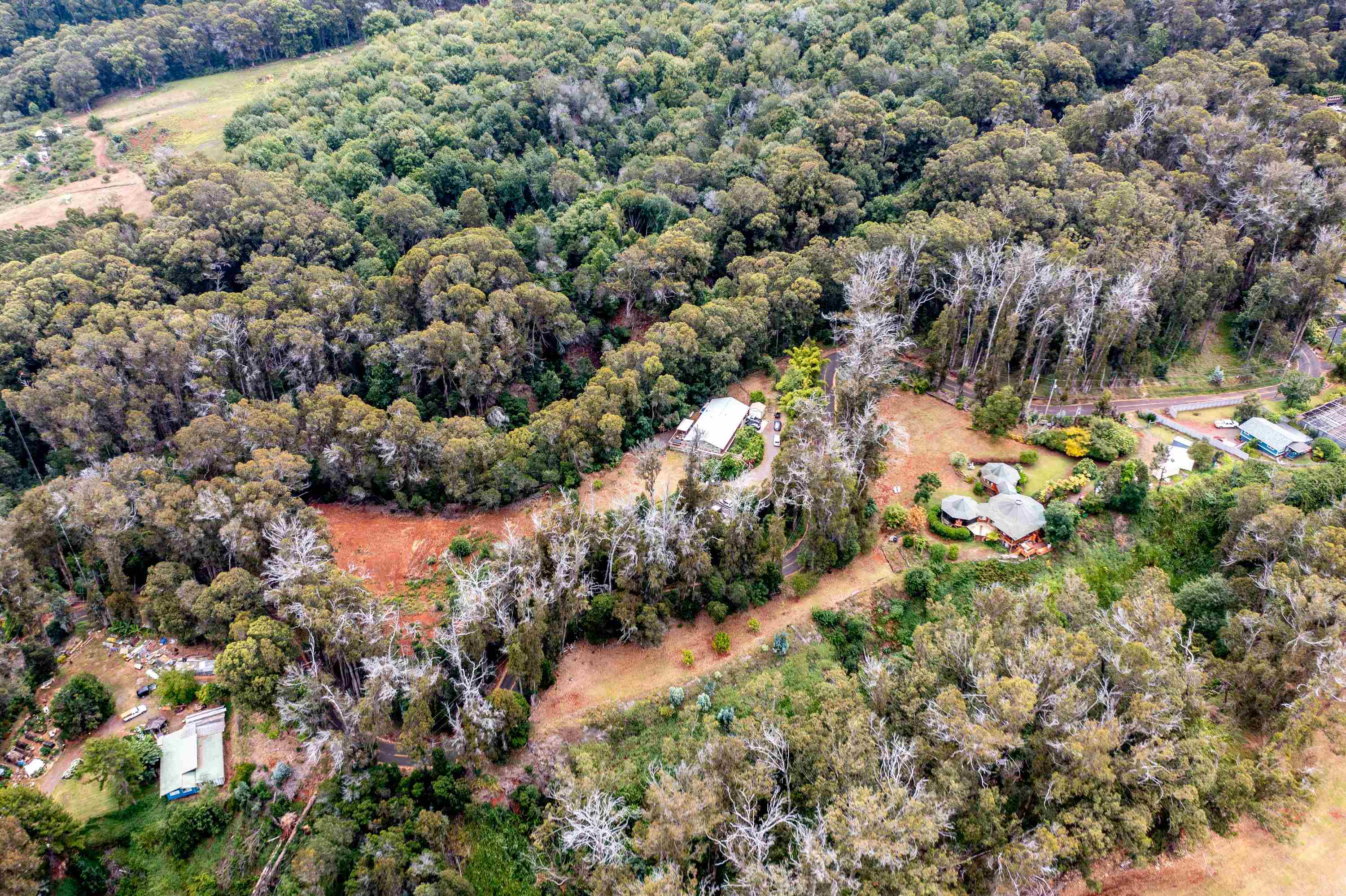 1939 B Piiholo Rd B Makawao, Hi vacant land for sale - photo 34 of 37