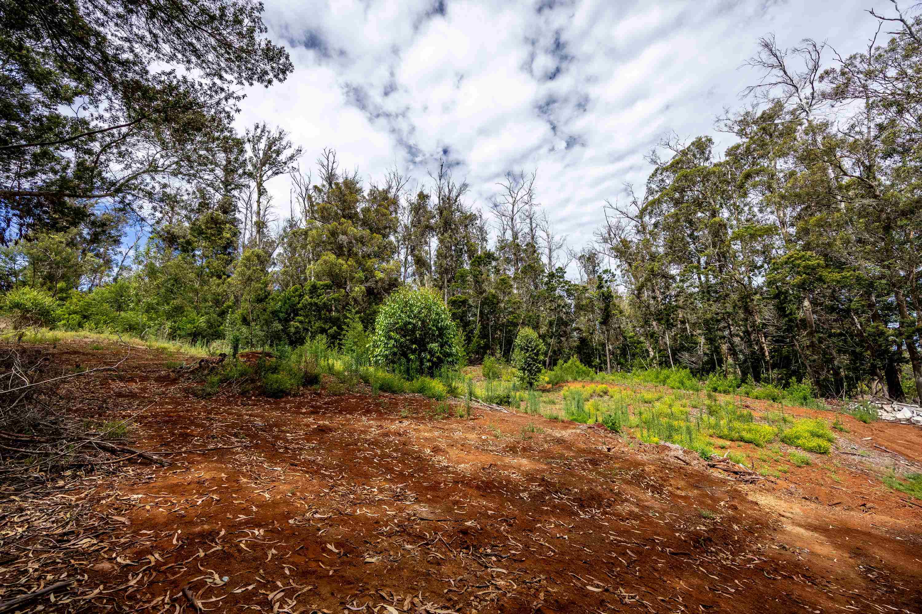 1939 B Piiholo Rd B Makawao, Hi vacant land for sale - photo 5 of 37