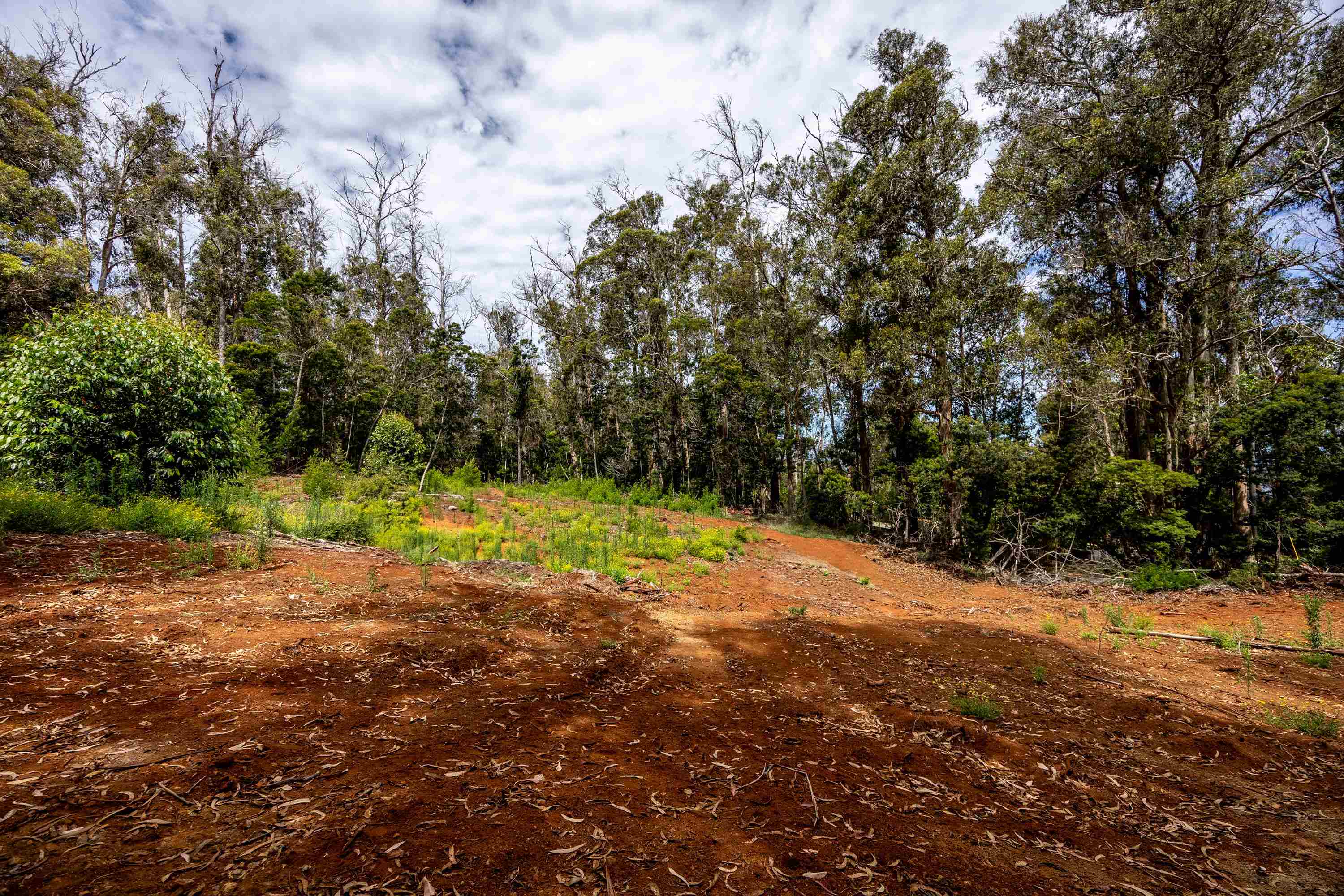 1939 B Piiholo Rd B Makawao, Hi vacant land for sale - photo 6 of 37