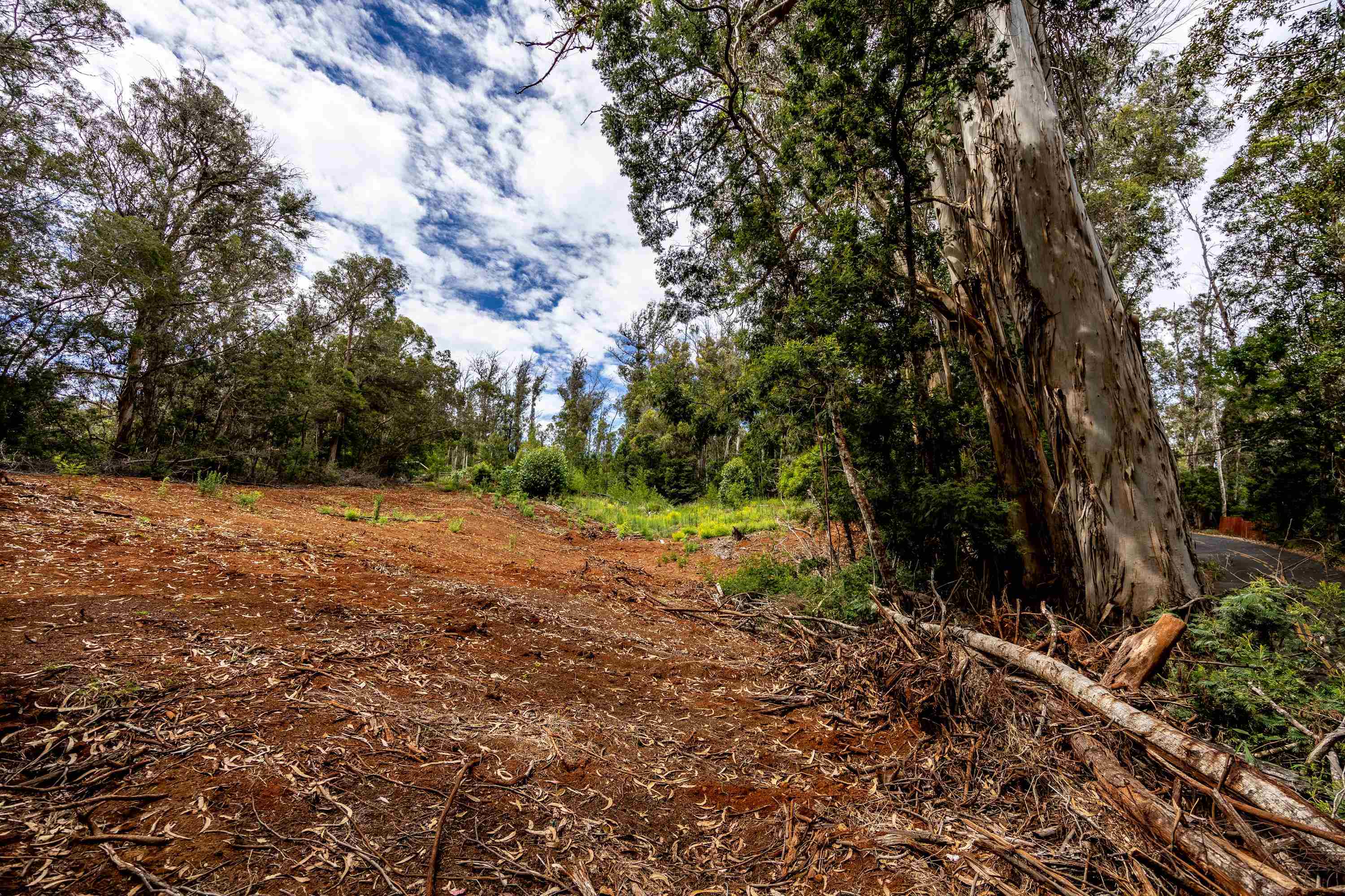 1939 B Piiholo Rd B Makawao, Hi vacant land for sale - photo 9 of 37