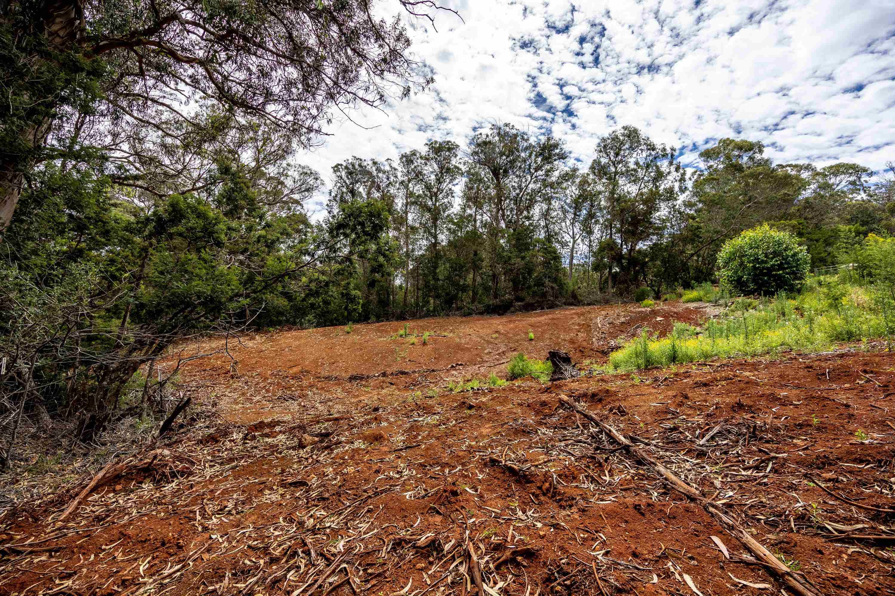 1939 B Piiholo Rd B Makawao, Hi vacant land for sale - photo 10 of 37