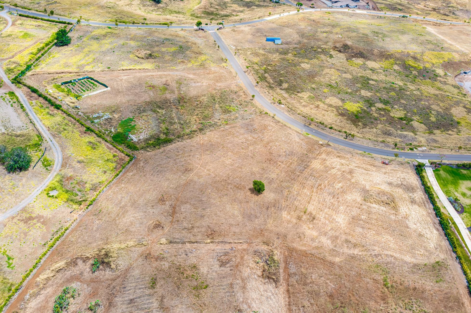 194 Huahua Pl 25 Kula, Hi vacant land for sale - photo 11 of 22