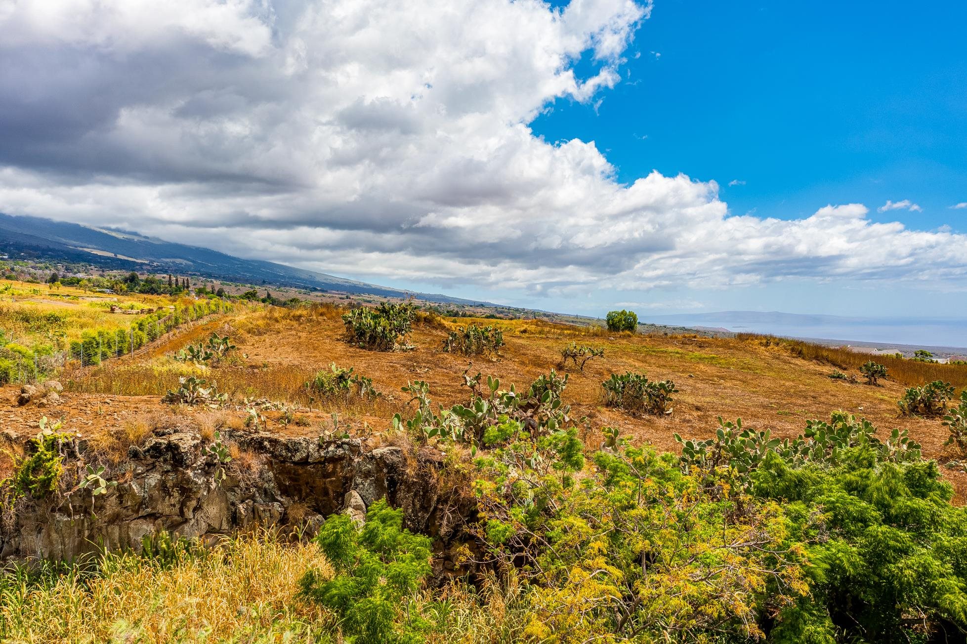 194 Huahua Pl 25 Kula, Hi vacant land for sale - photo 19 of 22