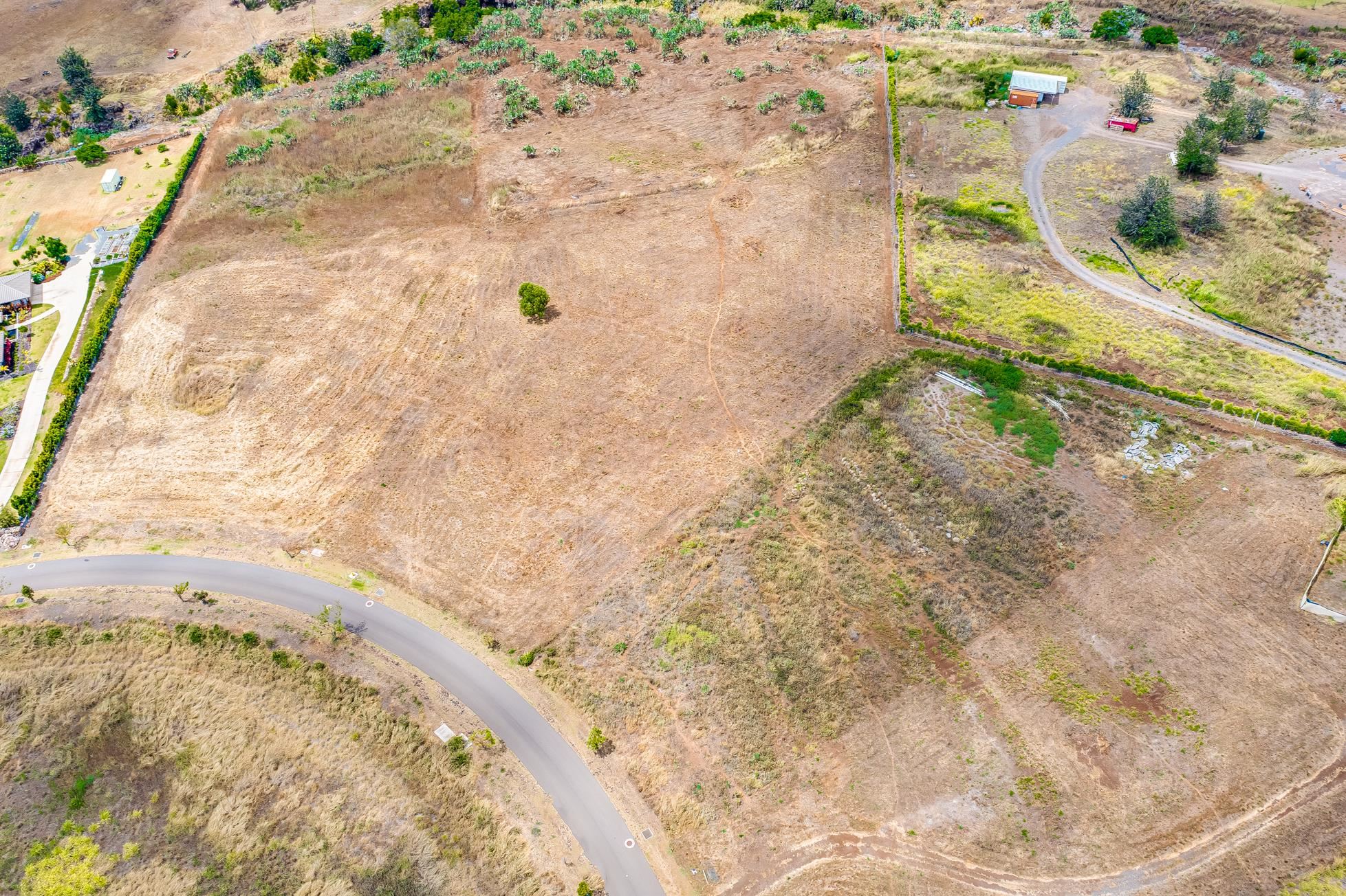 194 Huahua Pl 25 Kula, Hi vacant land for sale - photo 9 of 22