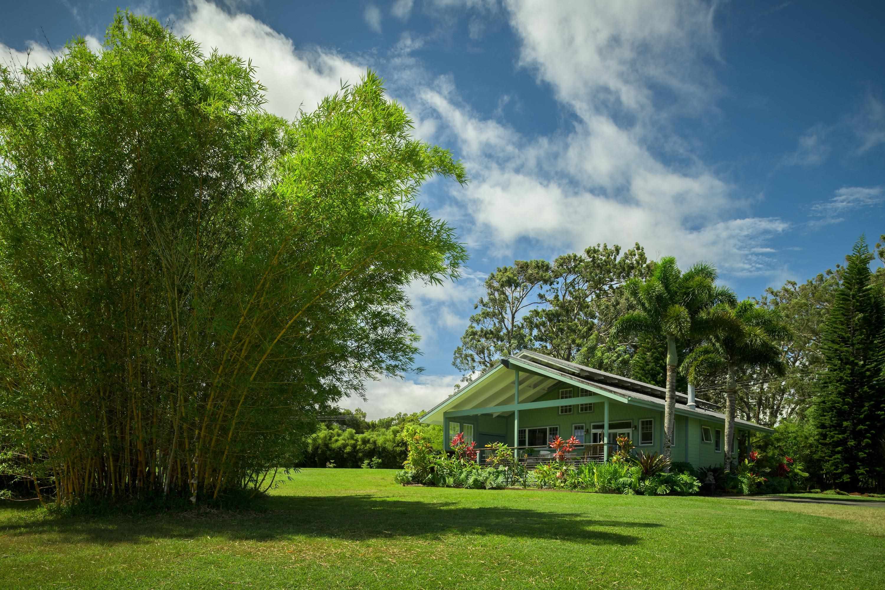 1949  Kuiaha Rd , Haiku home - photo 28 of 49