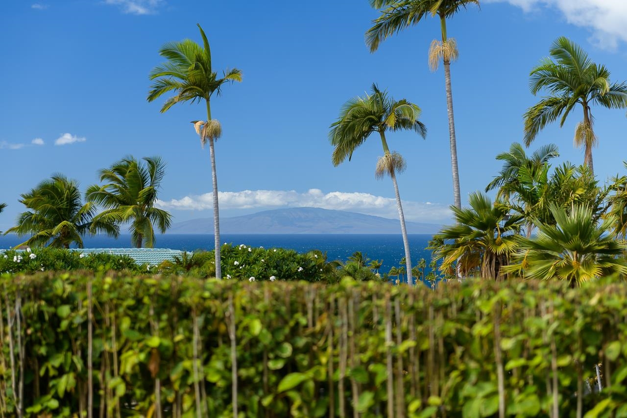 195  Ikea Kai Pl Wailea, Wailea/Makena home - photo 34 of 40