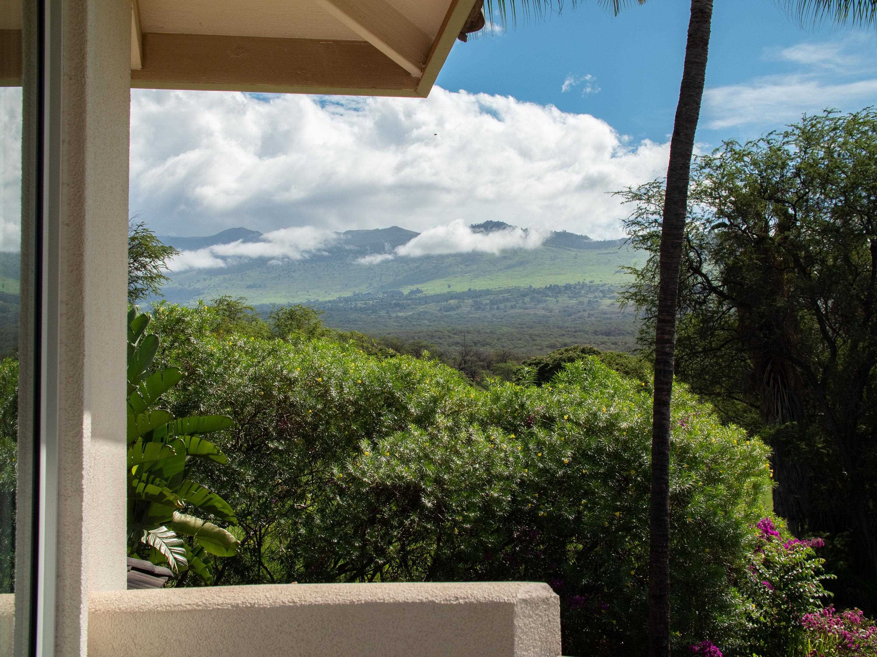 Kai Malu condo # 61B, Kihei, Hawaii - photo 14 of 30