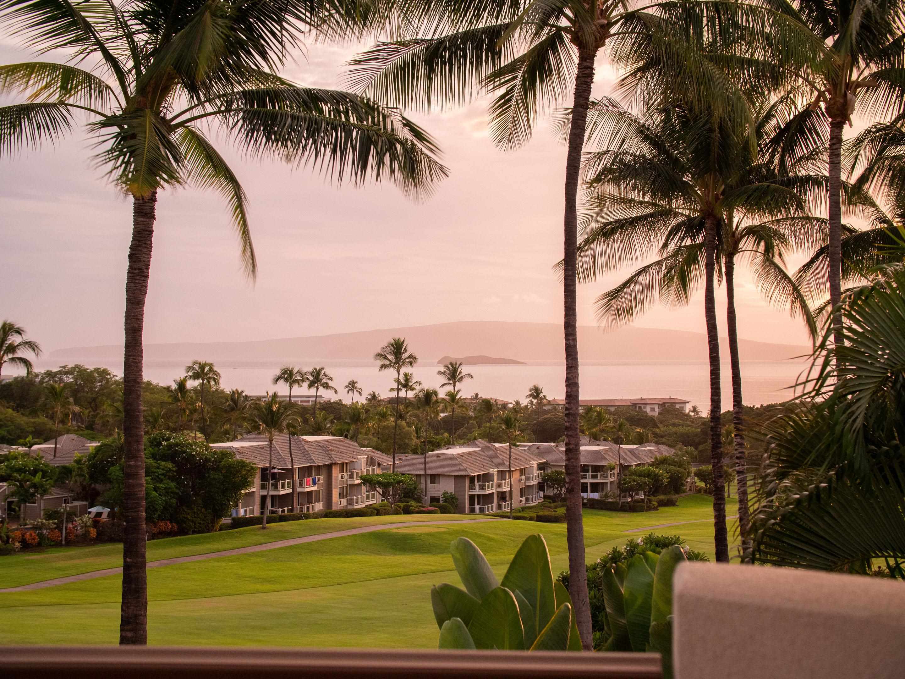 Kai Malu condo # 61B, Kihei, Hawaii - photo 25 of 30