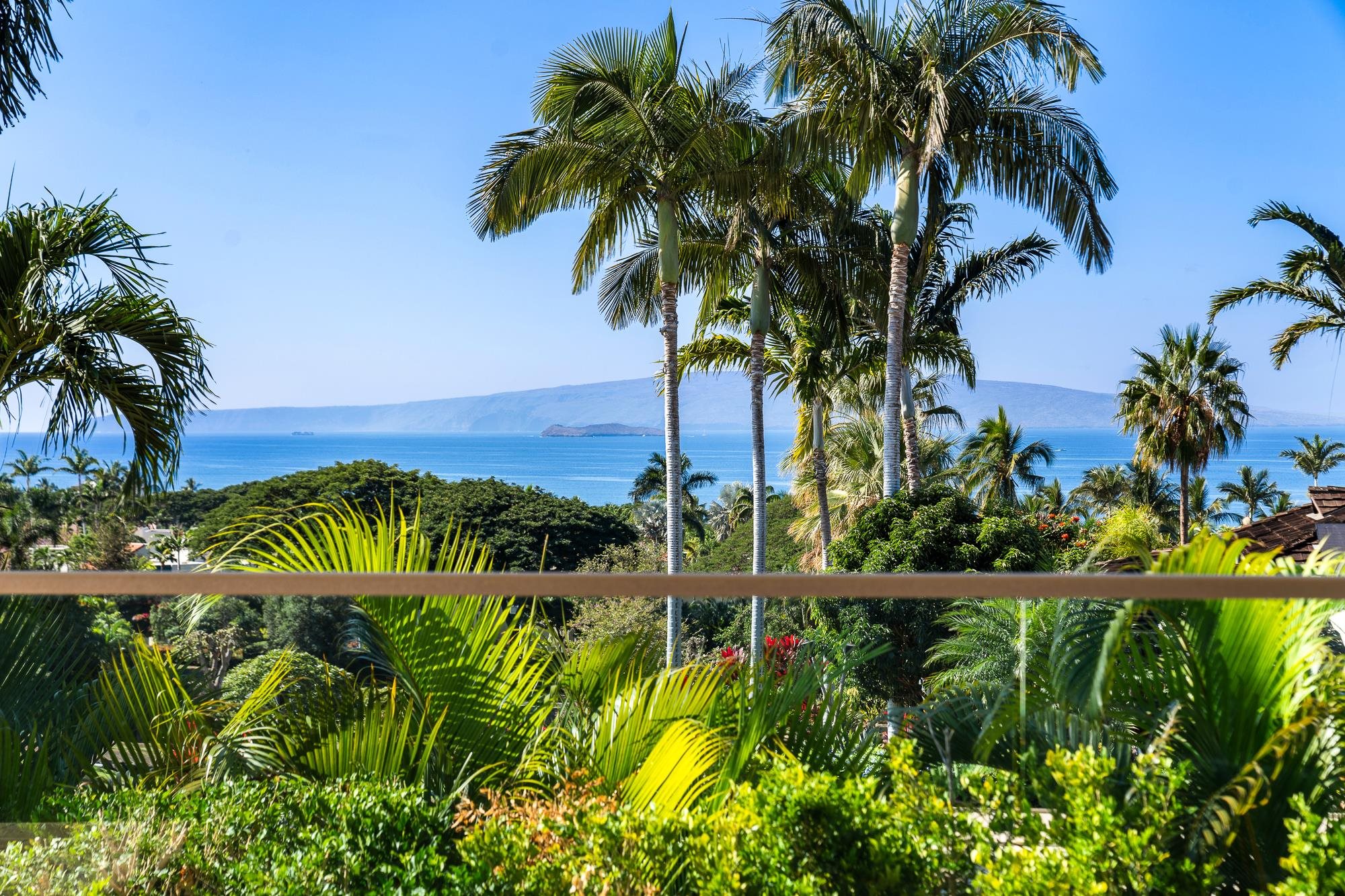 198  Heleuma Pl Wailea, Wailea/Makena home - photo 31 of 50