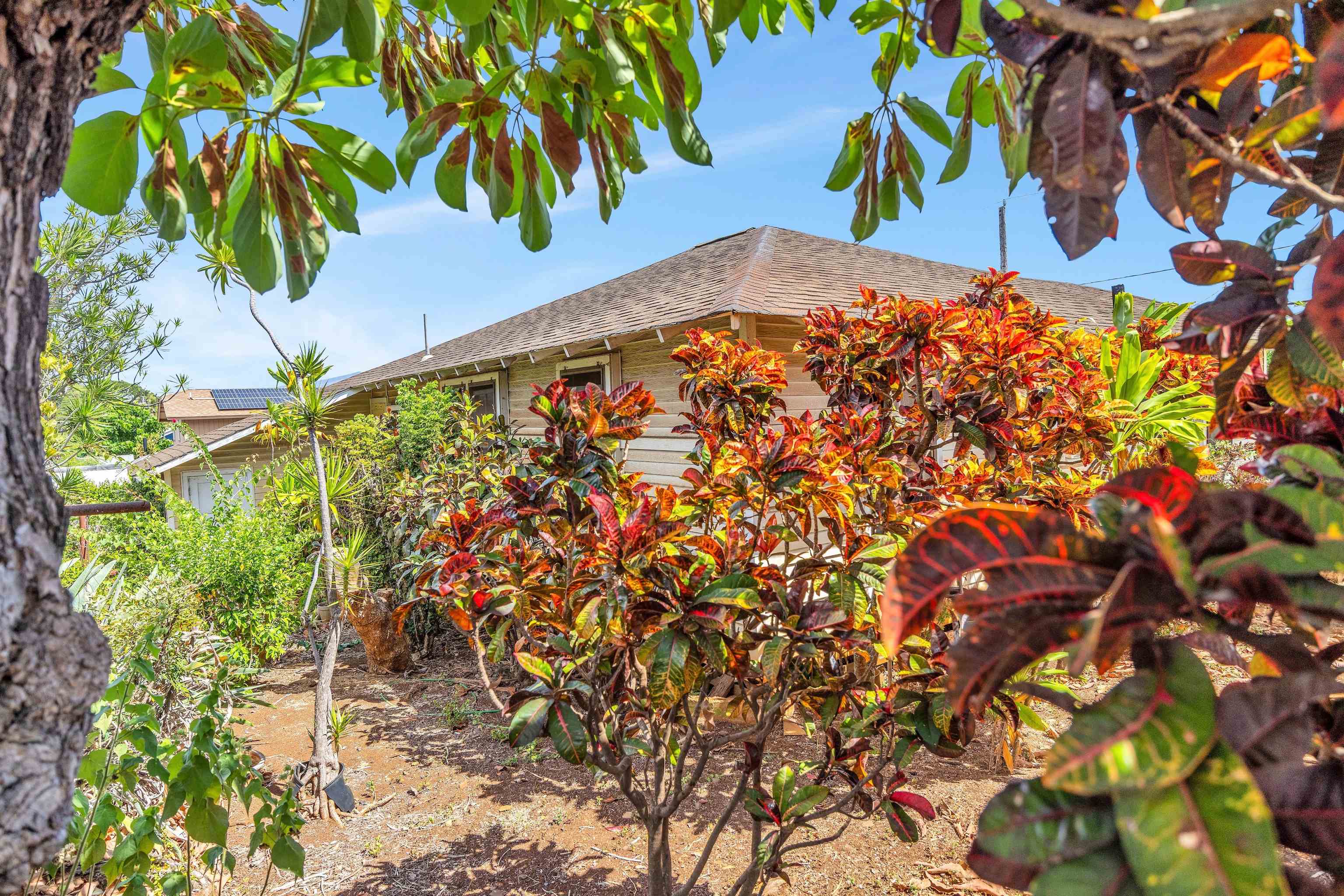 1982  Kalawi Pl , Wailuku home - photo 14 of 20