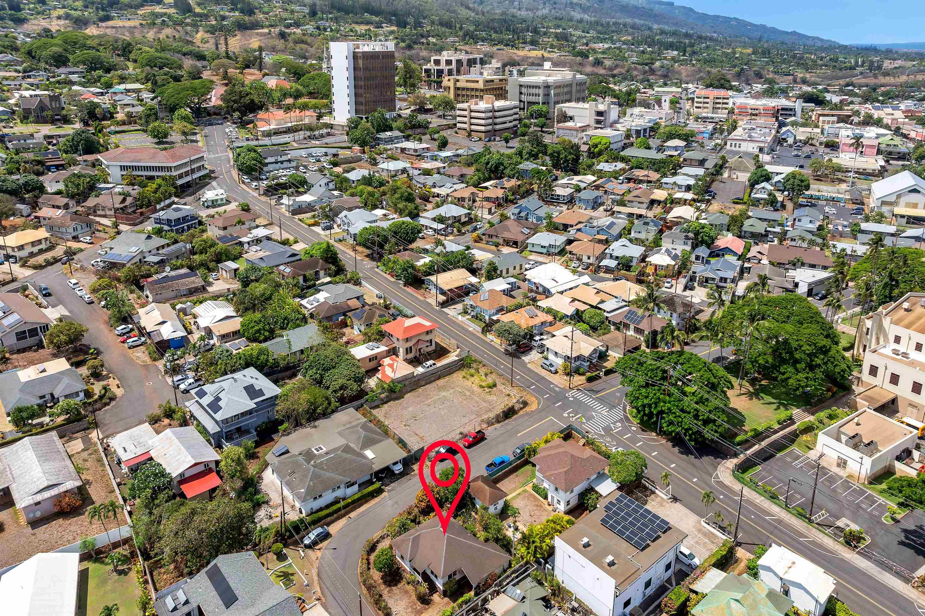 1982  Kalawi Pl , Wailuku home - photo 18 of 20