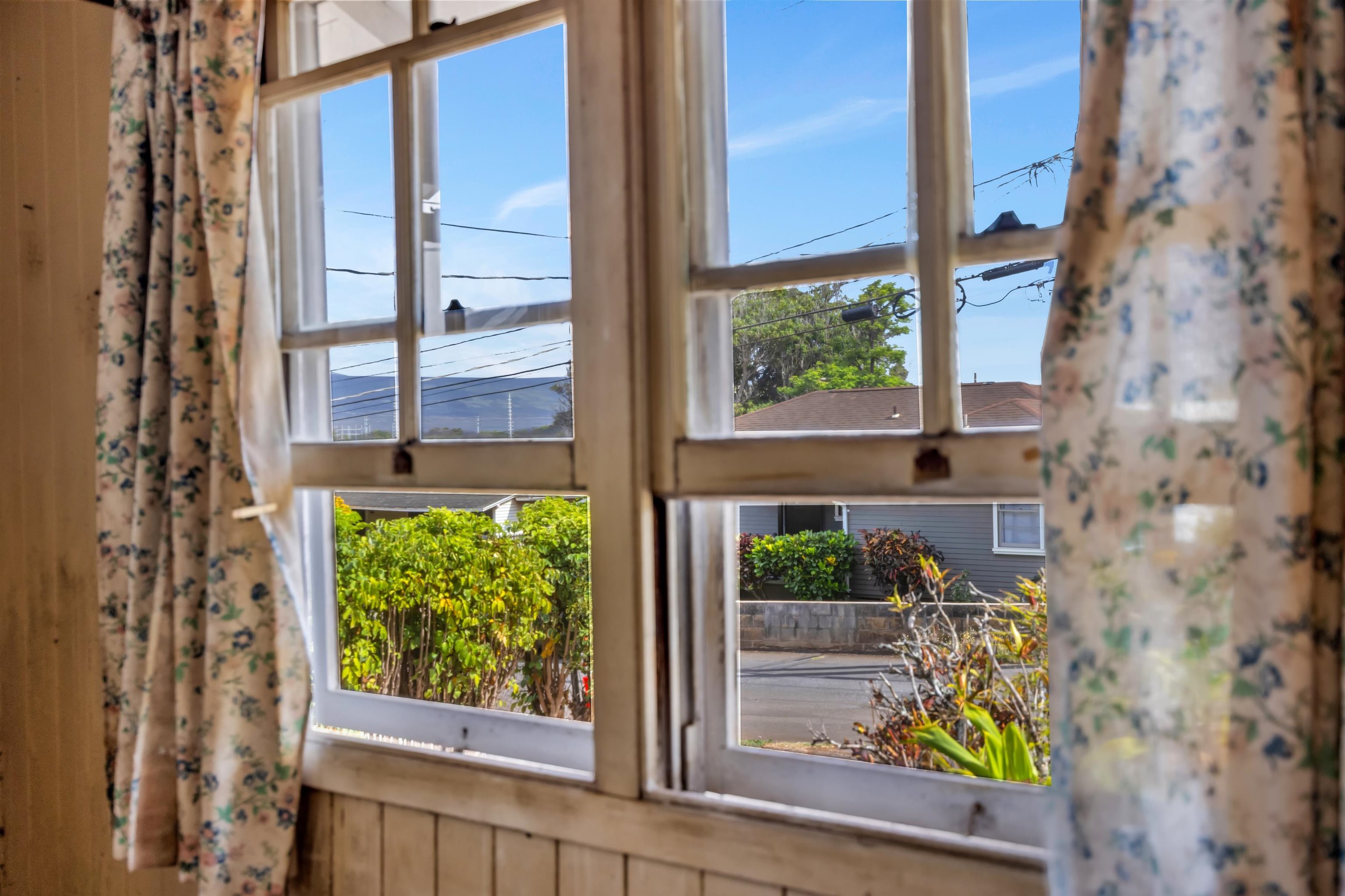 1982  Kalawi Pl , Wailuku home - photo 7 of 20