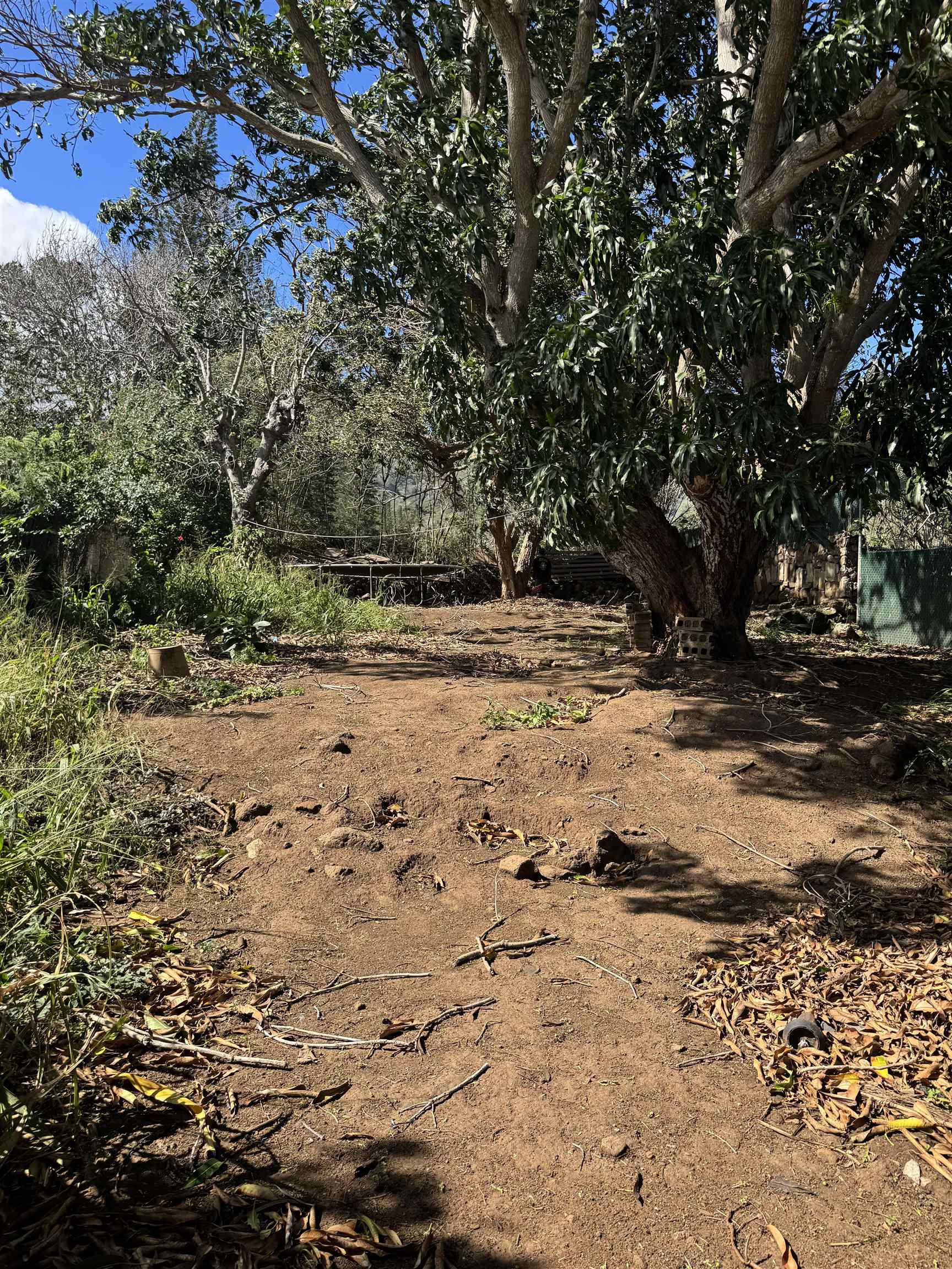 1987  Kahekili Hwy , Wailuku home - photo 35 of 38