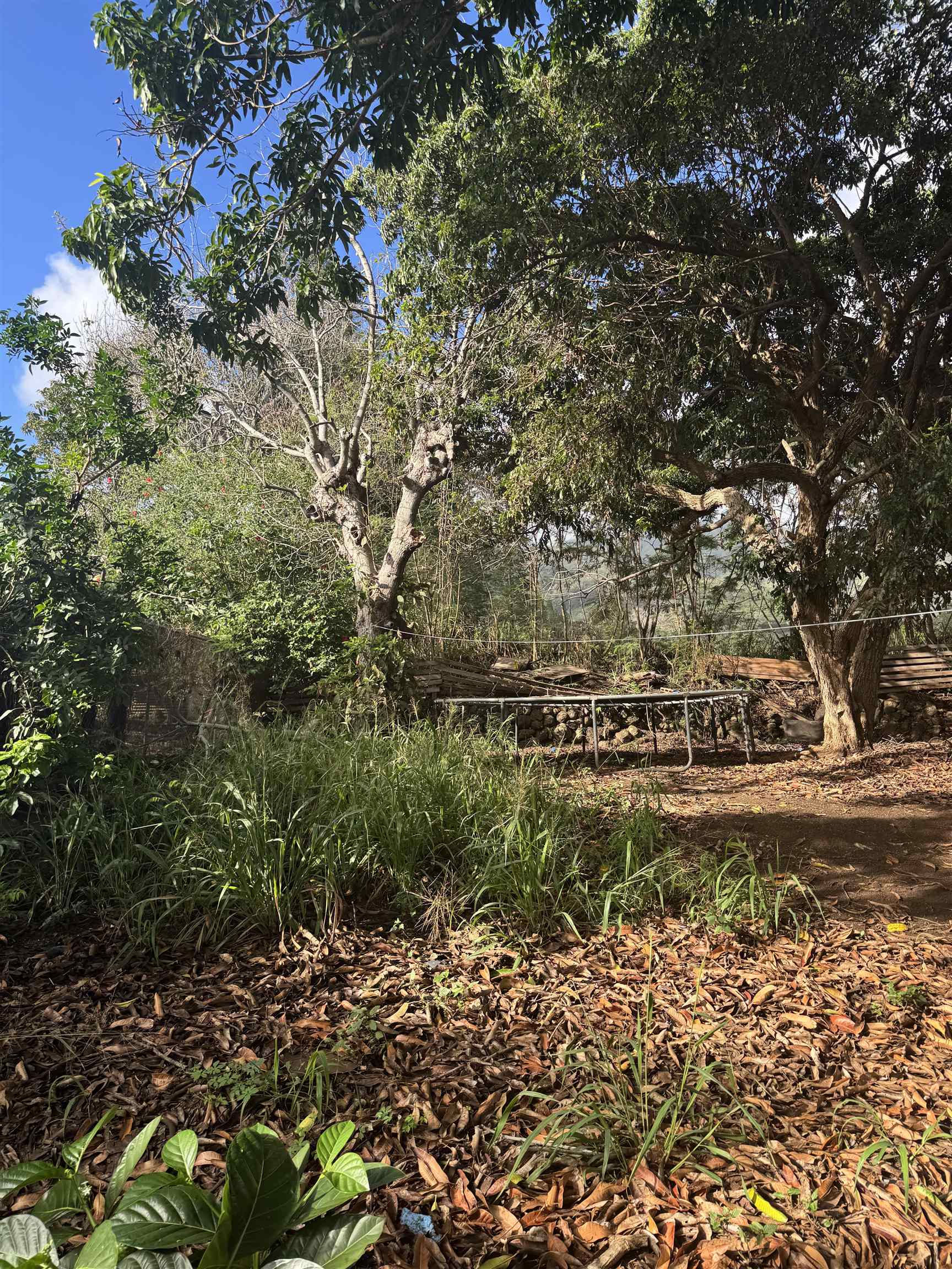 1987  Kahekili Hwy , Wailuku home - photo 37 of 38