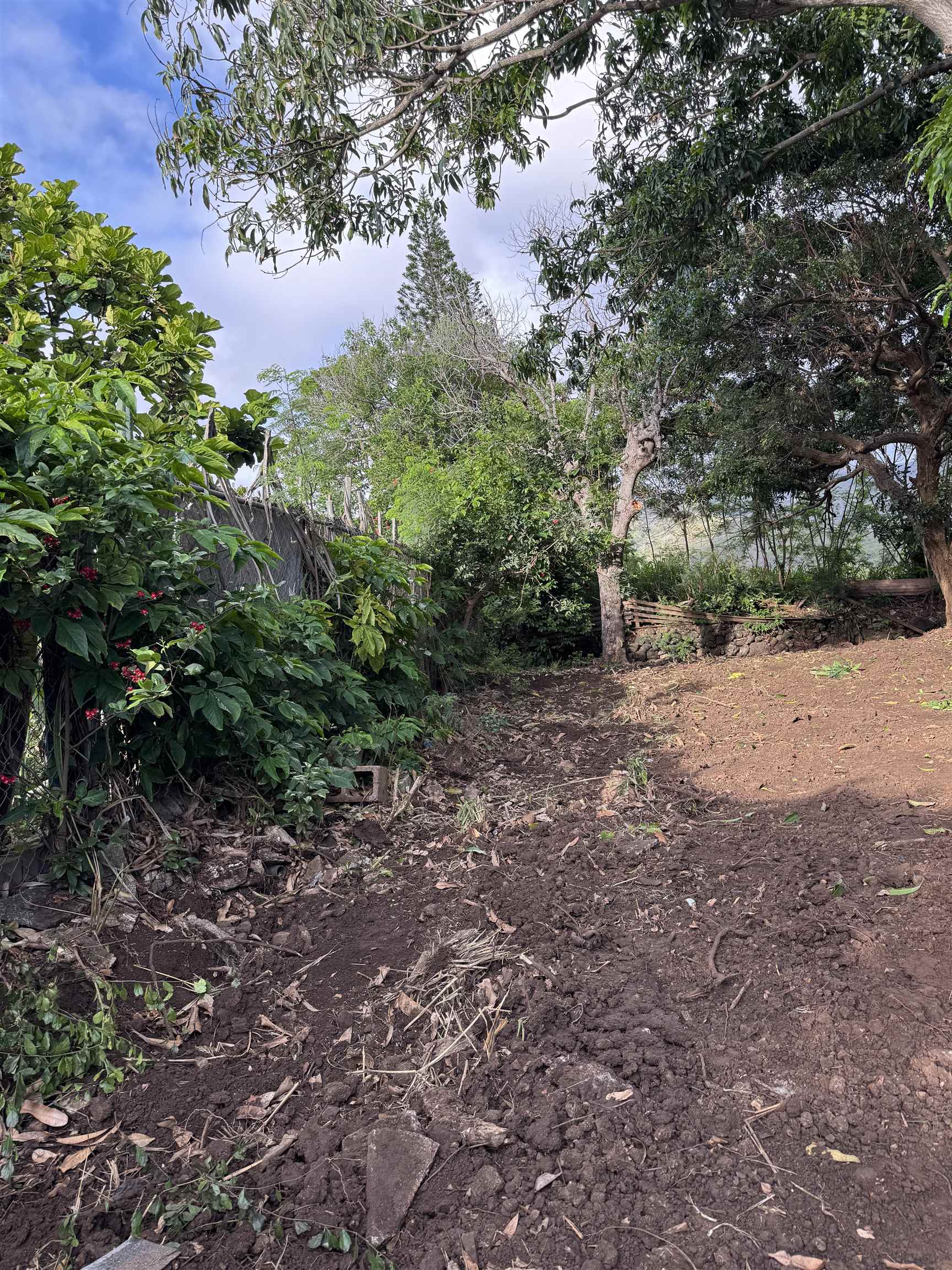 1987  Kahekili Hwy , Wailuku home - photo 41 of 44