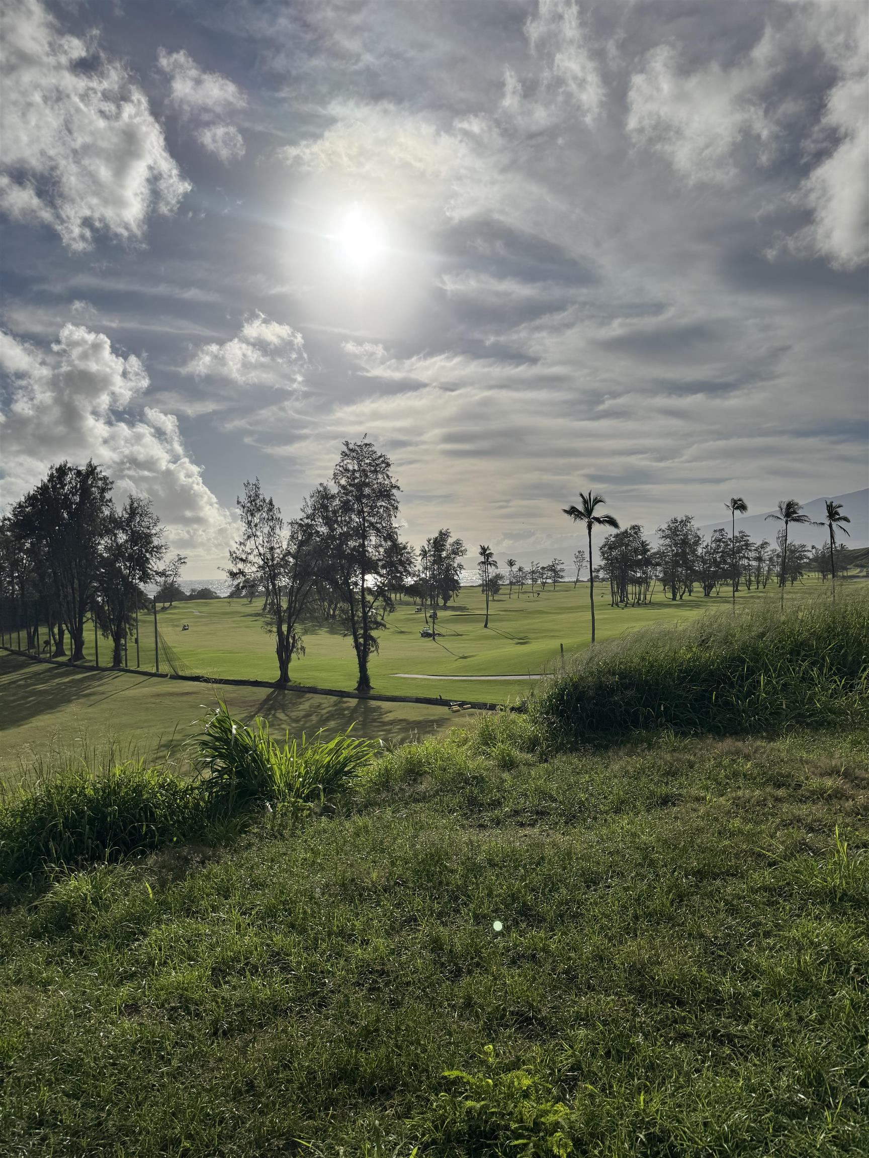 1987  Kahekili Hwy , Wailuku home - photo 43 of 46
