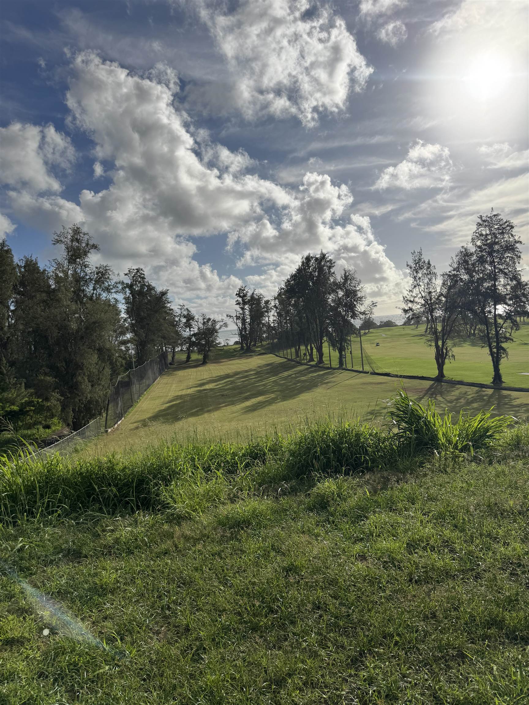 1987  Kahekili Hwy , Wailuku home - photo 45 of 46
