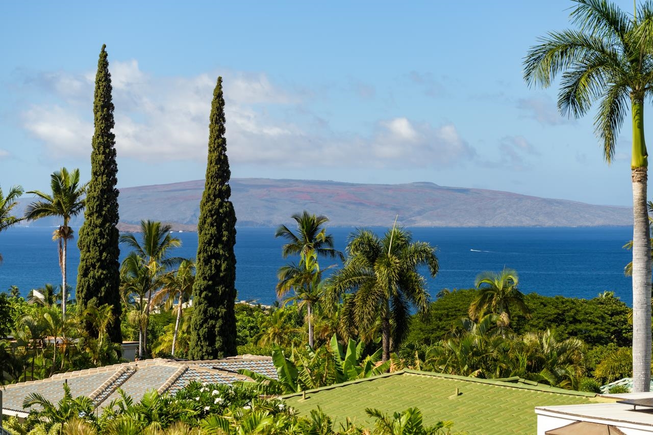 199  Ikea Moku Pl Wailea, Wailea/Makena home - photo 5 of 19