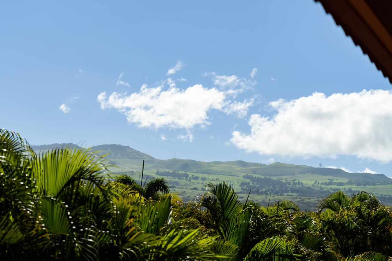 199  Ikea Moku Pl Wailea, Wailea/Makena home - photo 8 of 19