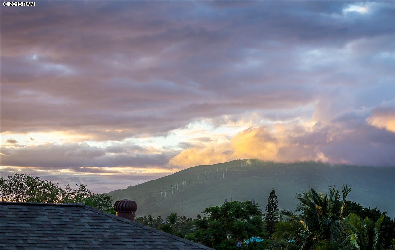 1990  Paulele Pl Kalama Park, Kihei home - photo 6 of 19