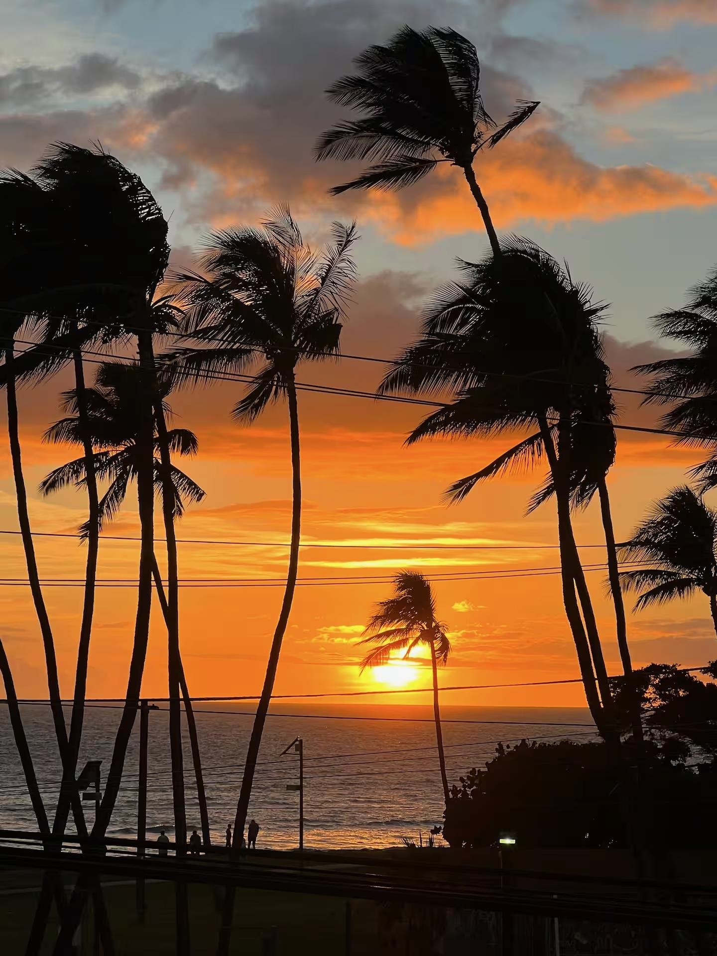 Island Surf condo # 307, Kihei, Hawaii - photo 19 of 19