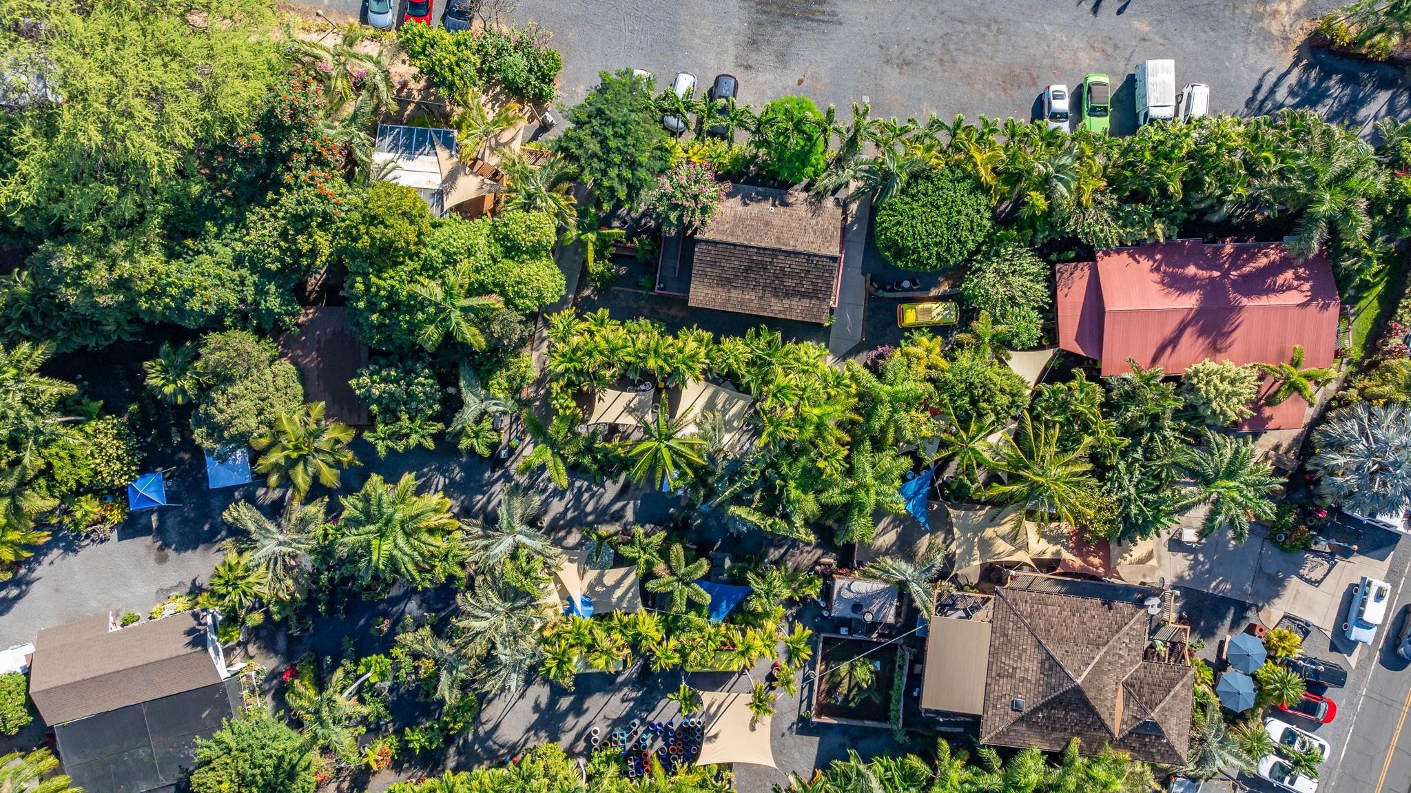 Island Surf condo # 307, Kihei, Hawaii - photo 34 of 43