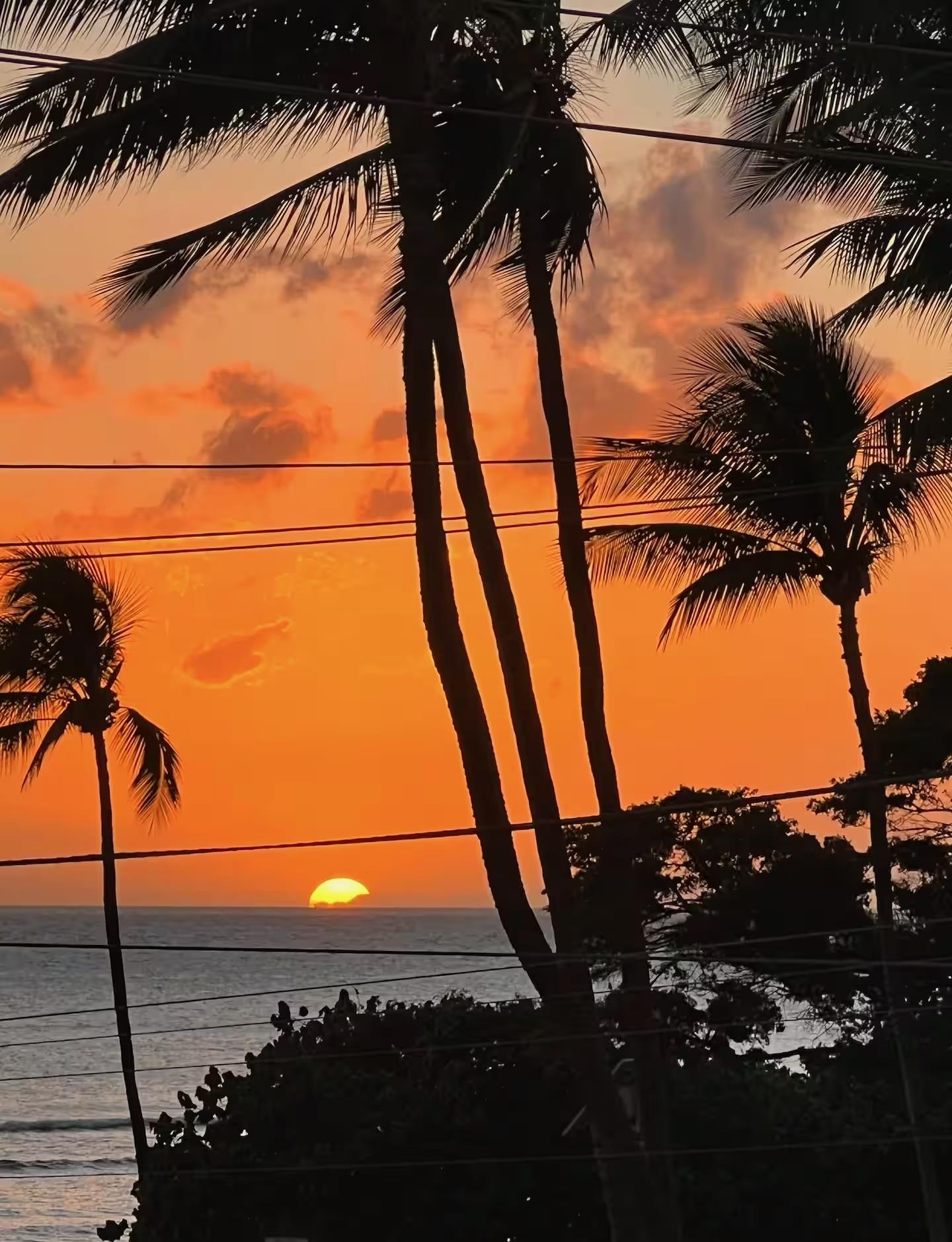 Island Surf condo # 307, Kihei, Hawaii - photo 10 of 19