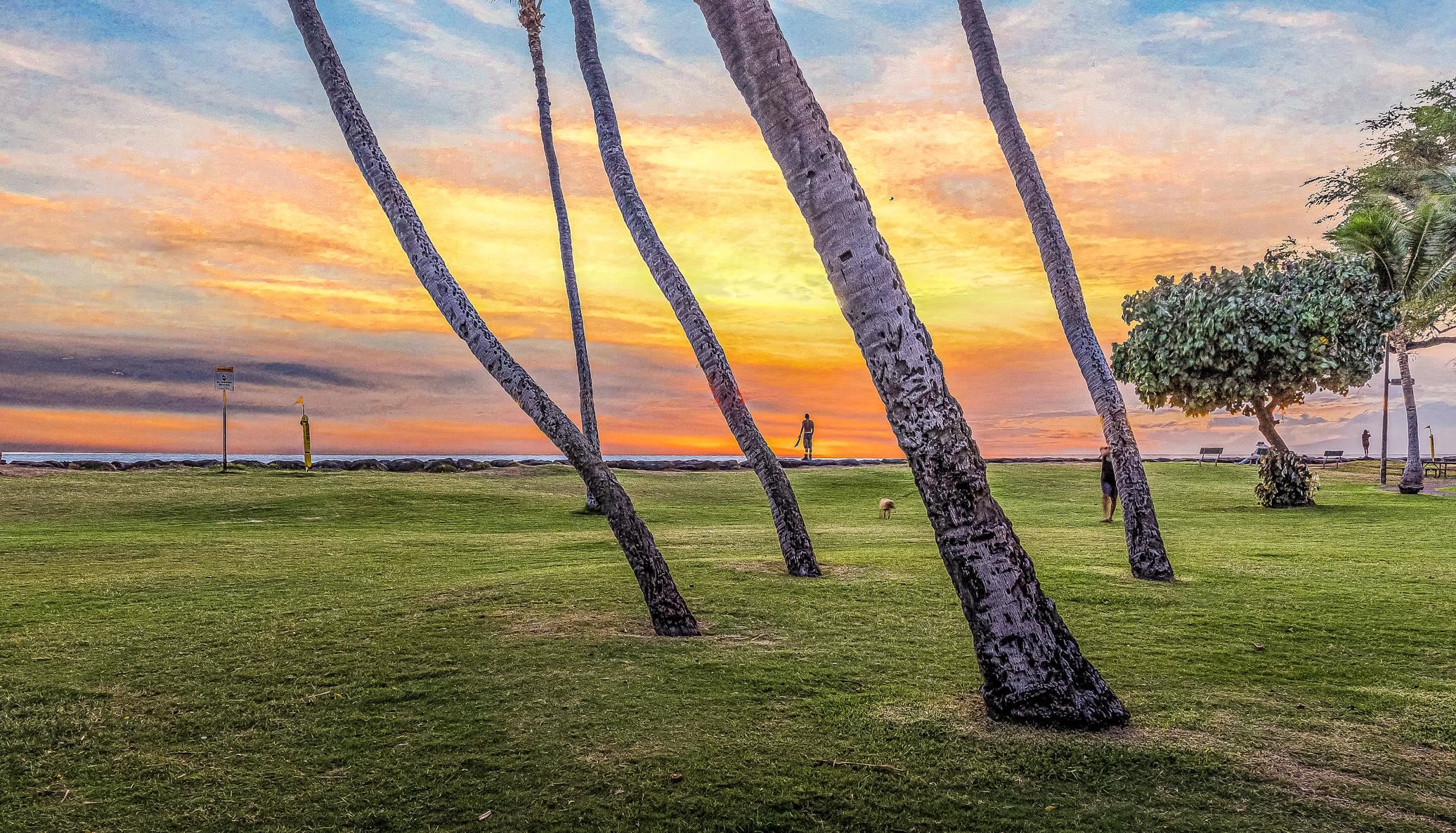 Island Surf condo # 311, Kihei, Hawaii - photo 30 of 31