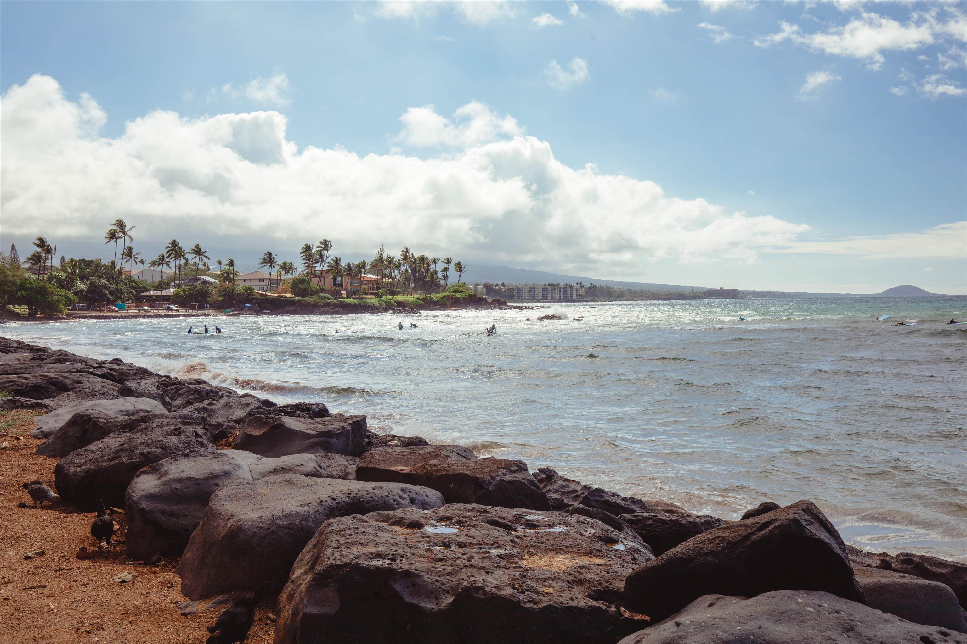Island Surf condo # 503, Kihei, Hawaii - photo 33 of 44