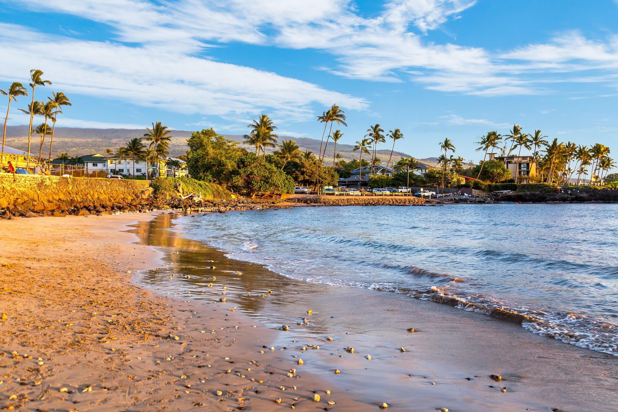 Island Surf condo # 507, Kihei, Hawaii - photo 8 of 30